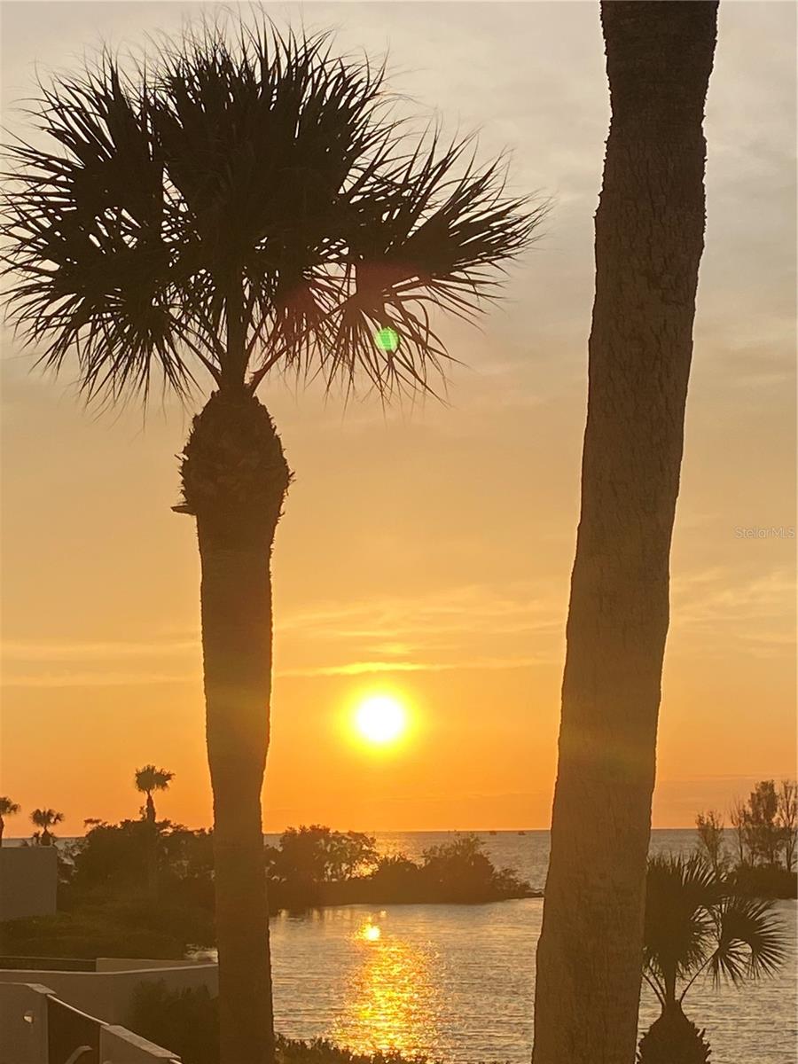 6009 SEA RANCH DR #315, HUDSON, FL, 34667