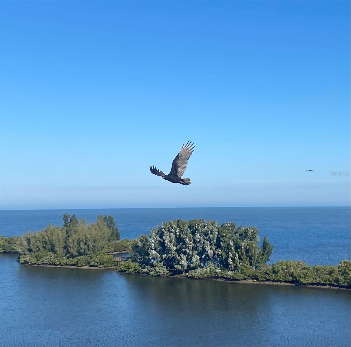 6009 SEA RANCH DR #315, HUDSON, FL, 34667