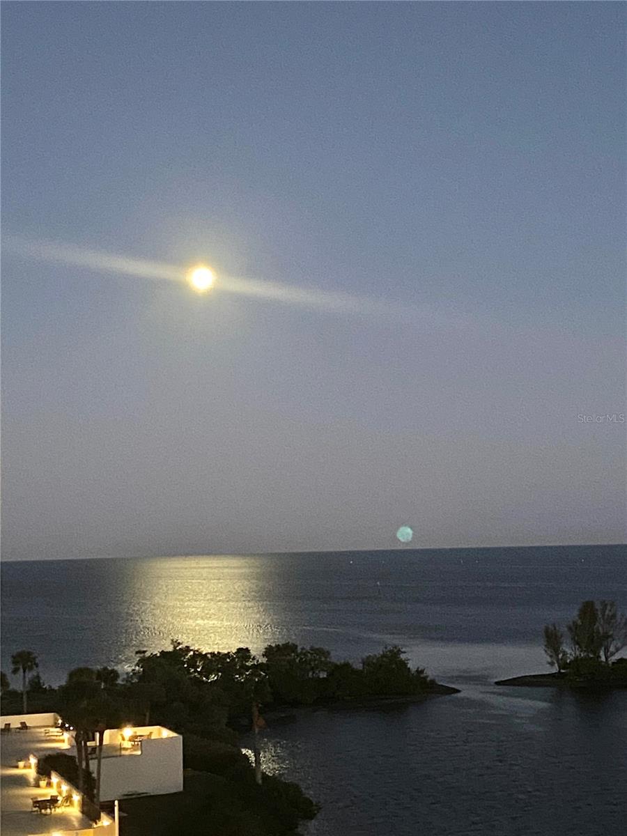 6009 SEA RANCH DR #315, HUDSON, FL, 34667