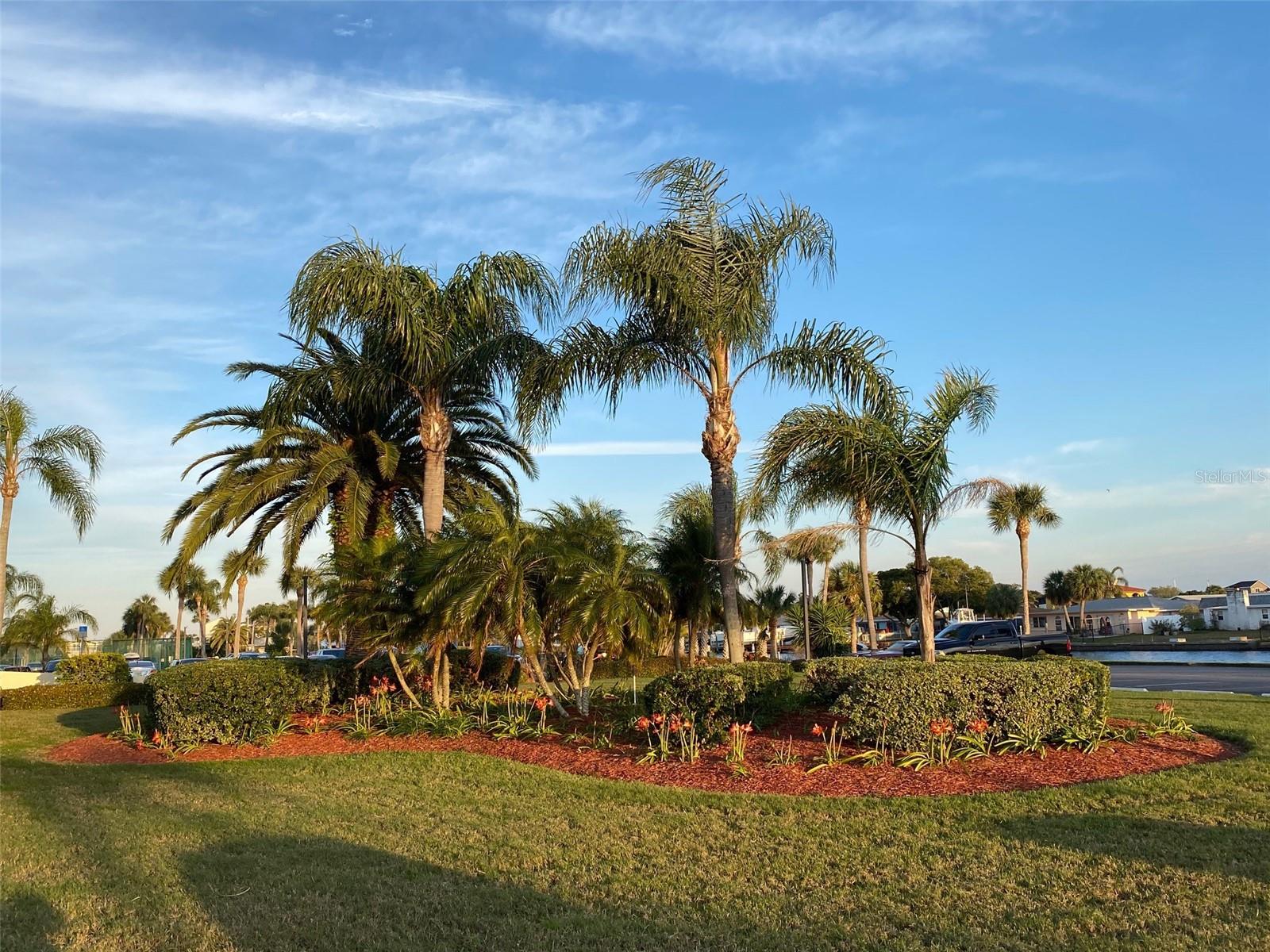 6009 SEA RANCH DR #315, HUDSON, FL, 34667