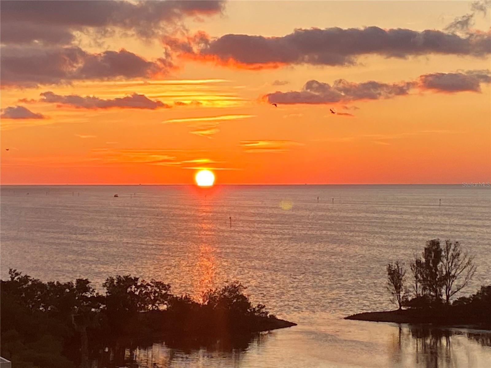 6009 SEA RANCH DR #315, HUDSON, FL, 34667