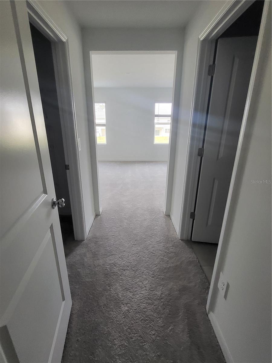 36183 RISA MICHELE ST, ZEPHYRHILLS, FL, 33541