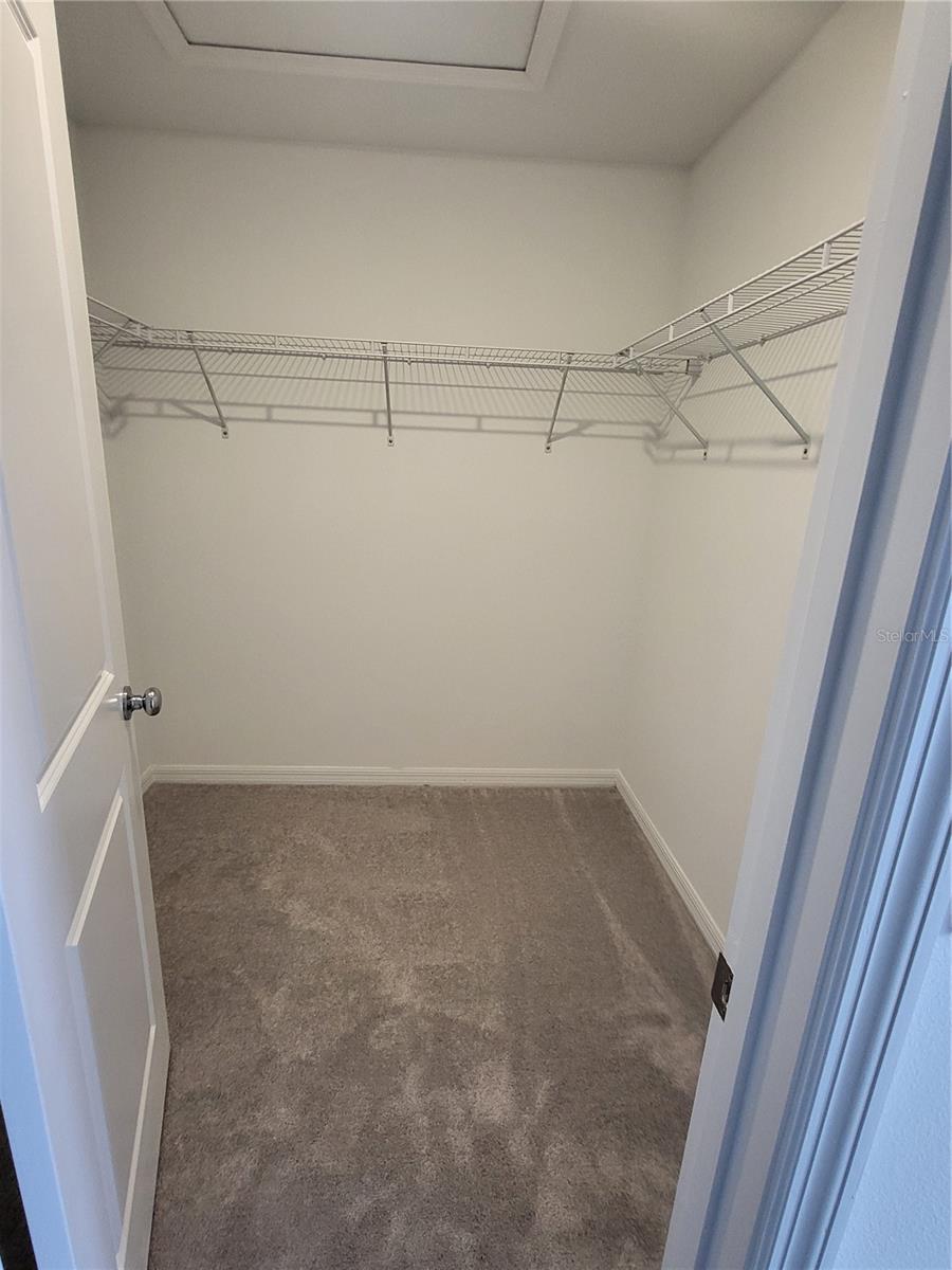 36183 RISA MICHELE ST, ZEPHYRHILLS, FL, 33541