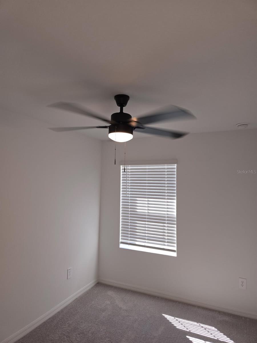 36183 RISA MICHELE ST, ZEPHYRHILLS, FL, 33541