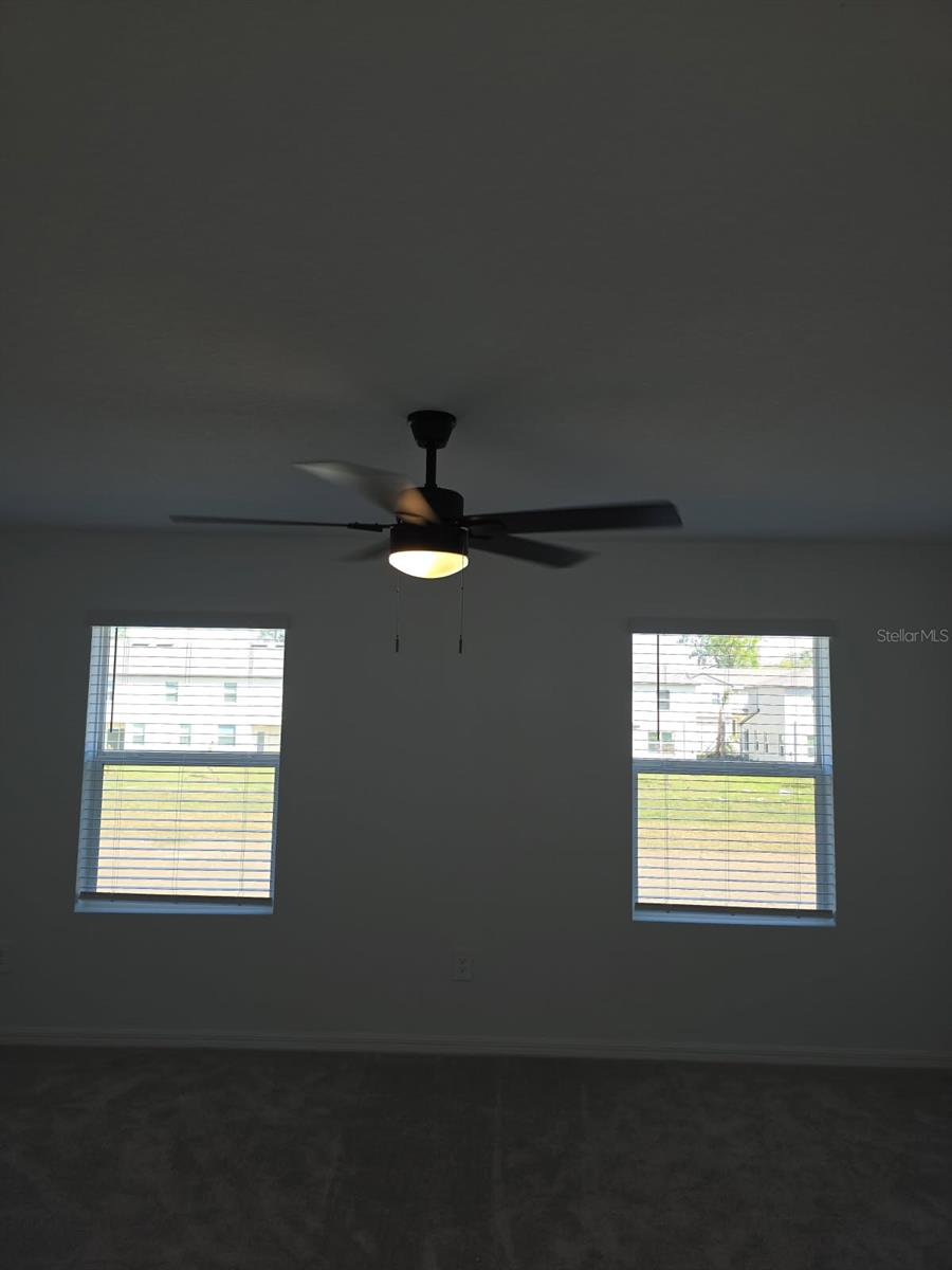 36183 RISA MICHELE ST, ZEPHYRHILLS, FL, 33541