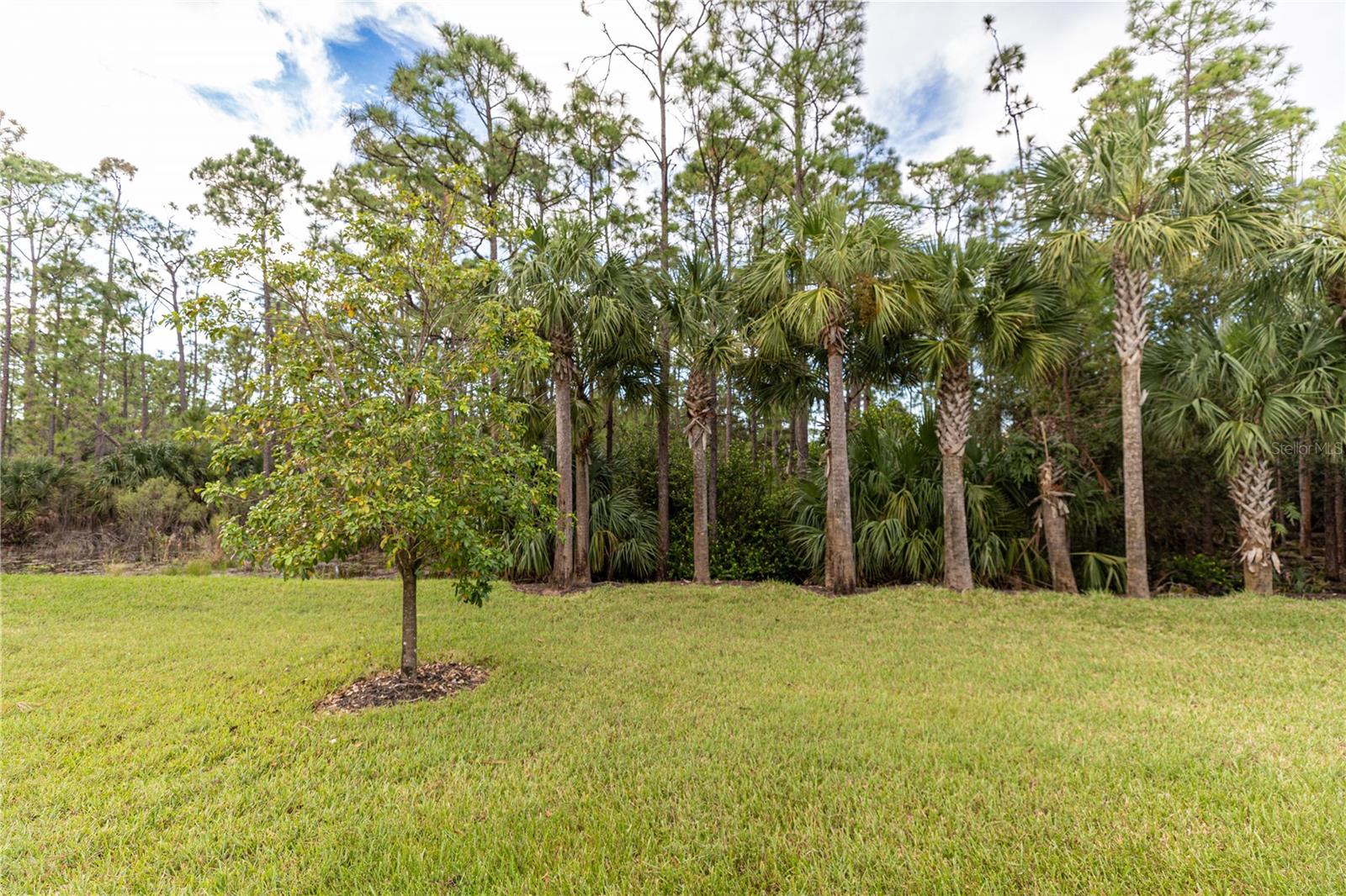 11208 CARLINGFORD RD, FORT MYERS, FL, 33913