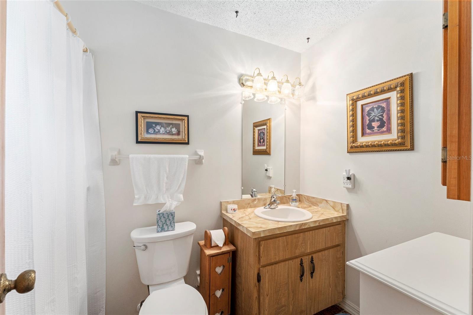 2260 CR 444, LAKE PANASOFFKEE, FL, 33538