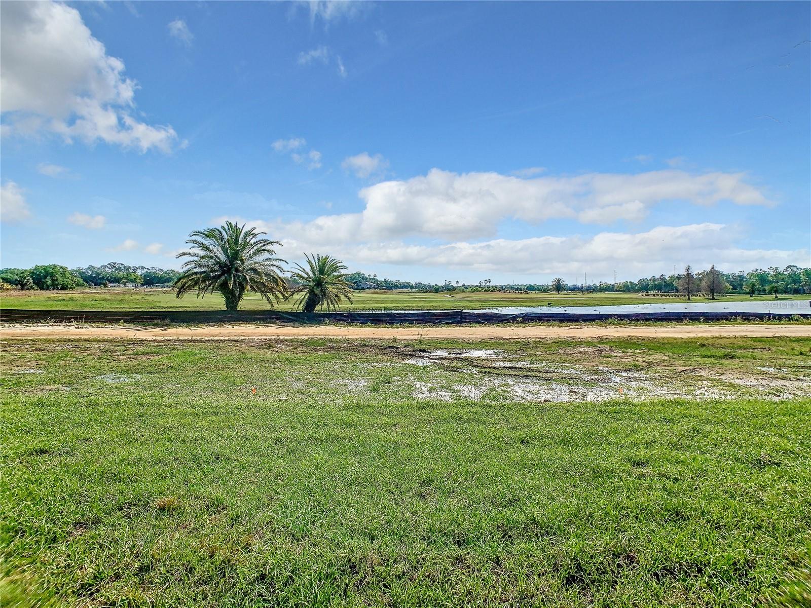 1013 BLUE JAY DR, DAVENPORT, FL, 33837