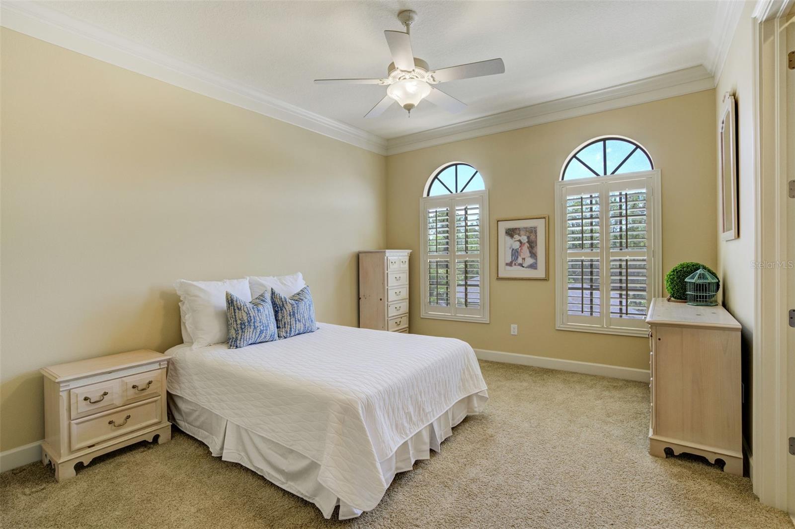 109 WATEREDGE CT, SAFETY HARBOR, FL, 34695
