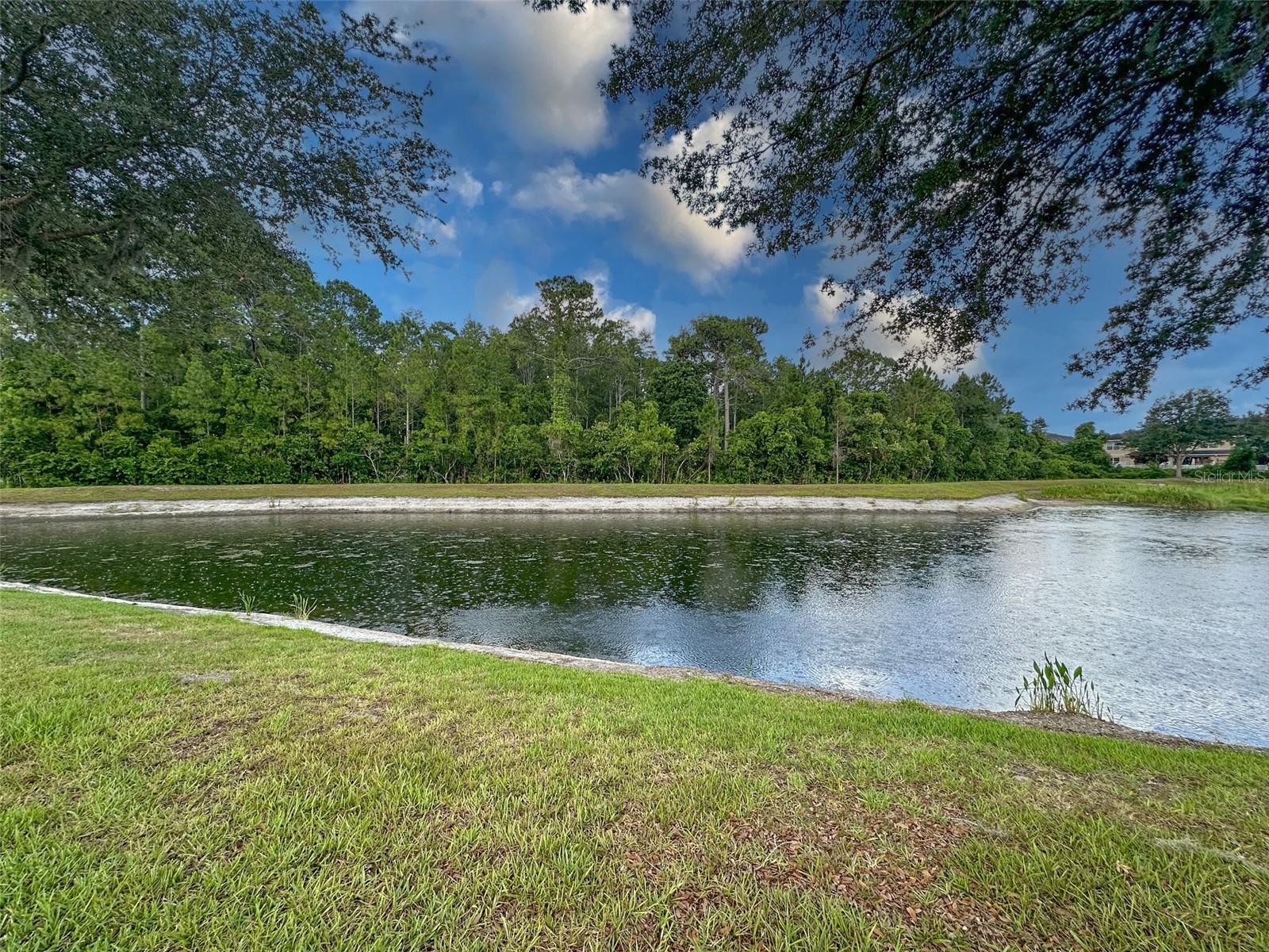 13754 ROYSTON BND, HUDSON, FL, 34669