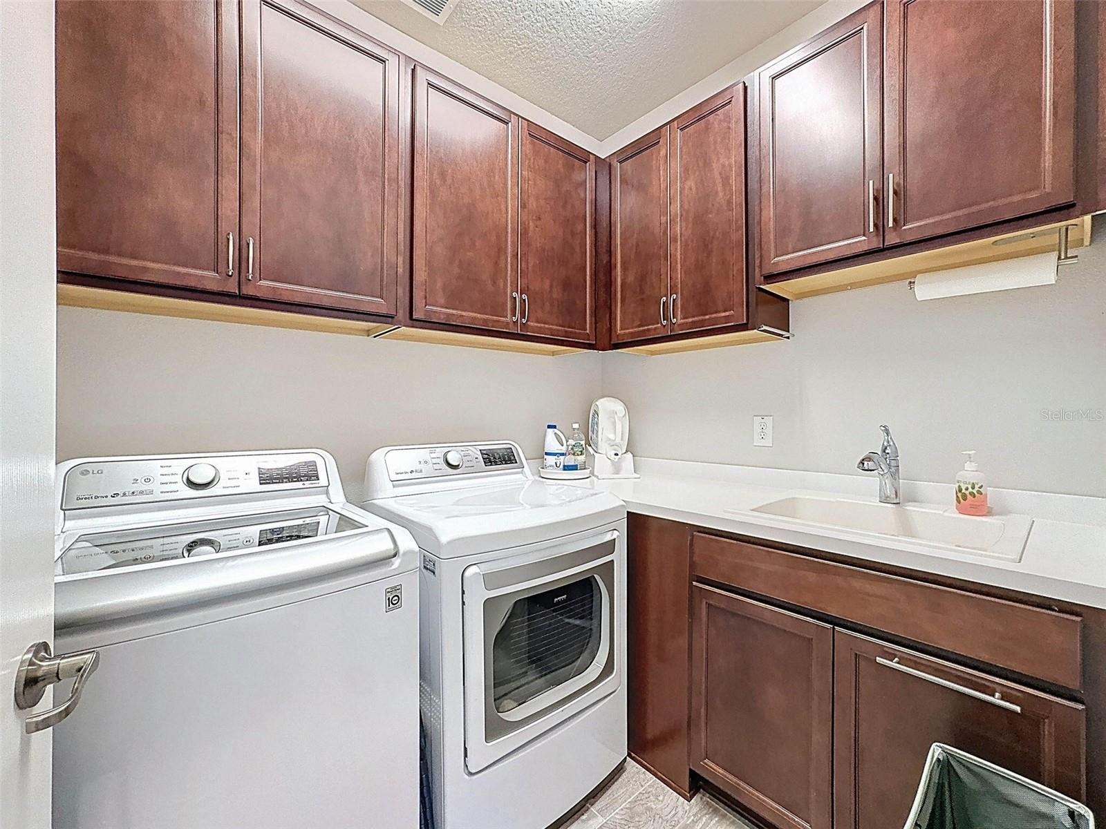 18743 COASTAL SHORE TER, LAND O LAKES, FL, 34638