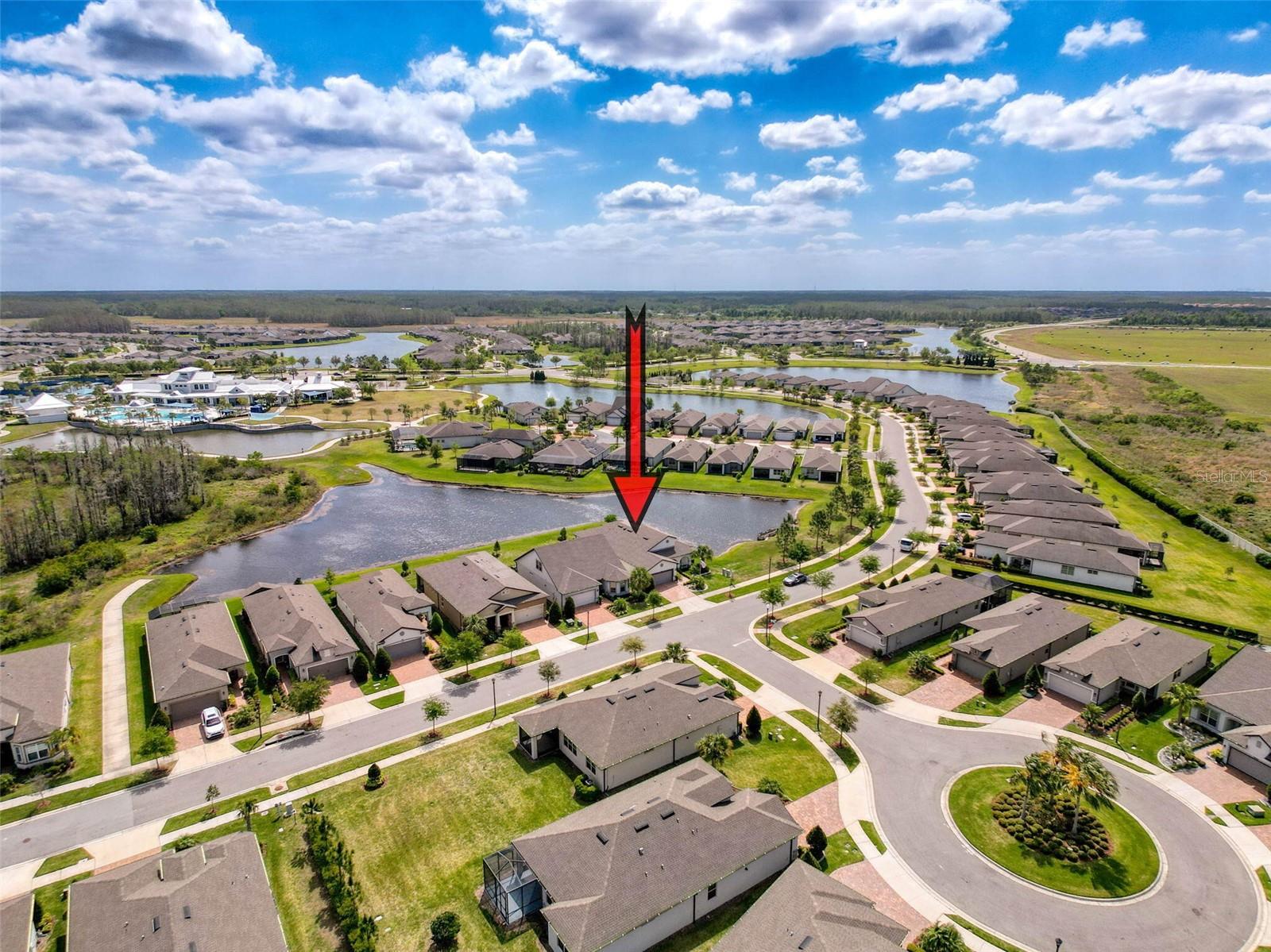 18743 COASTAL SHORE TER, LAND O LAKES, FL, 34638