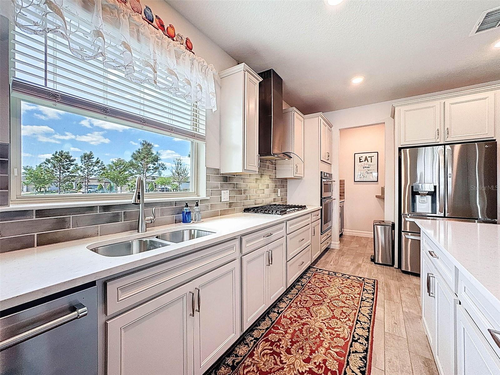 18743 COASTAL SHORE TER, LAND O LAKES, FL, 34638