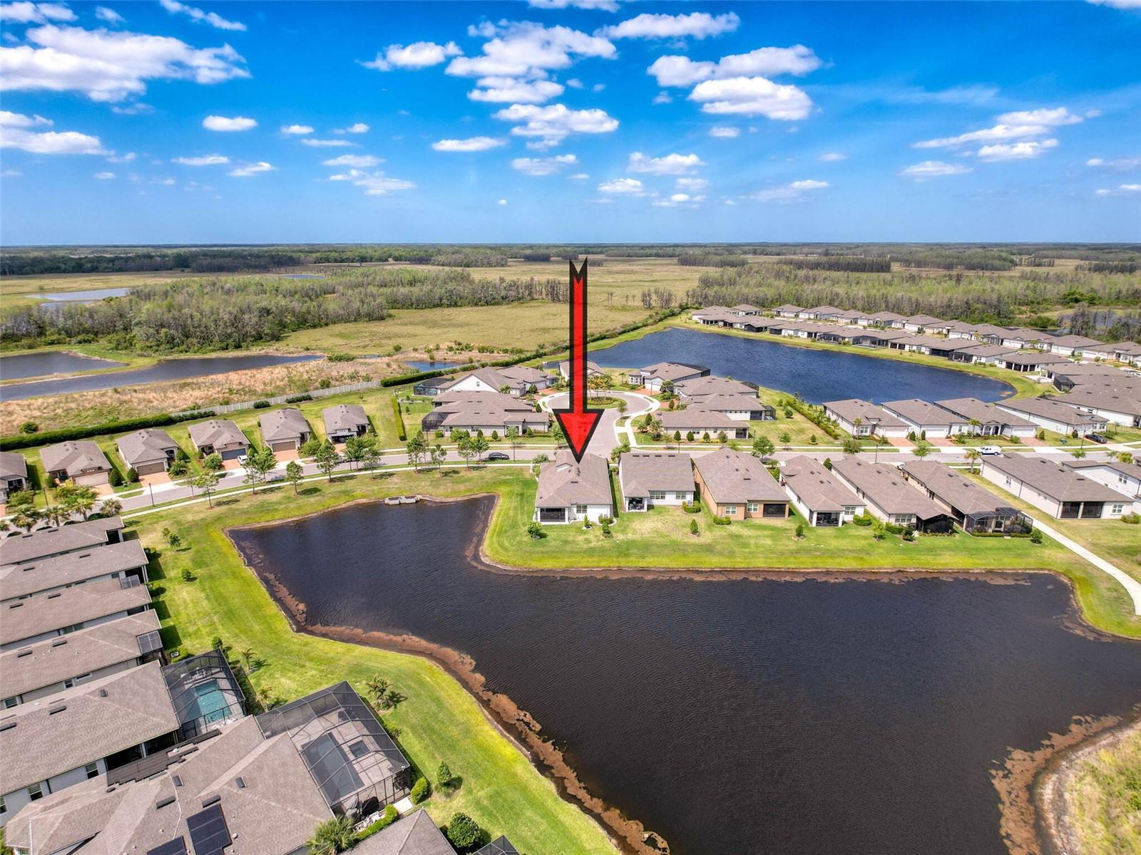 18743 COASTAL SHORE TER, LAND O LAKES, FL, 34638