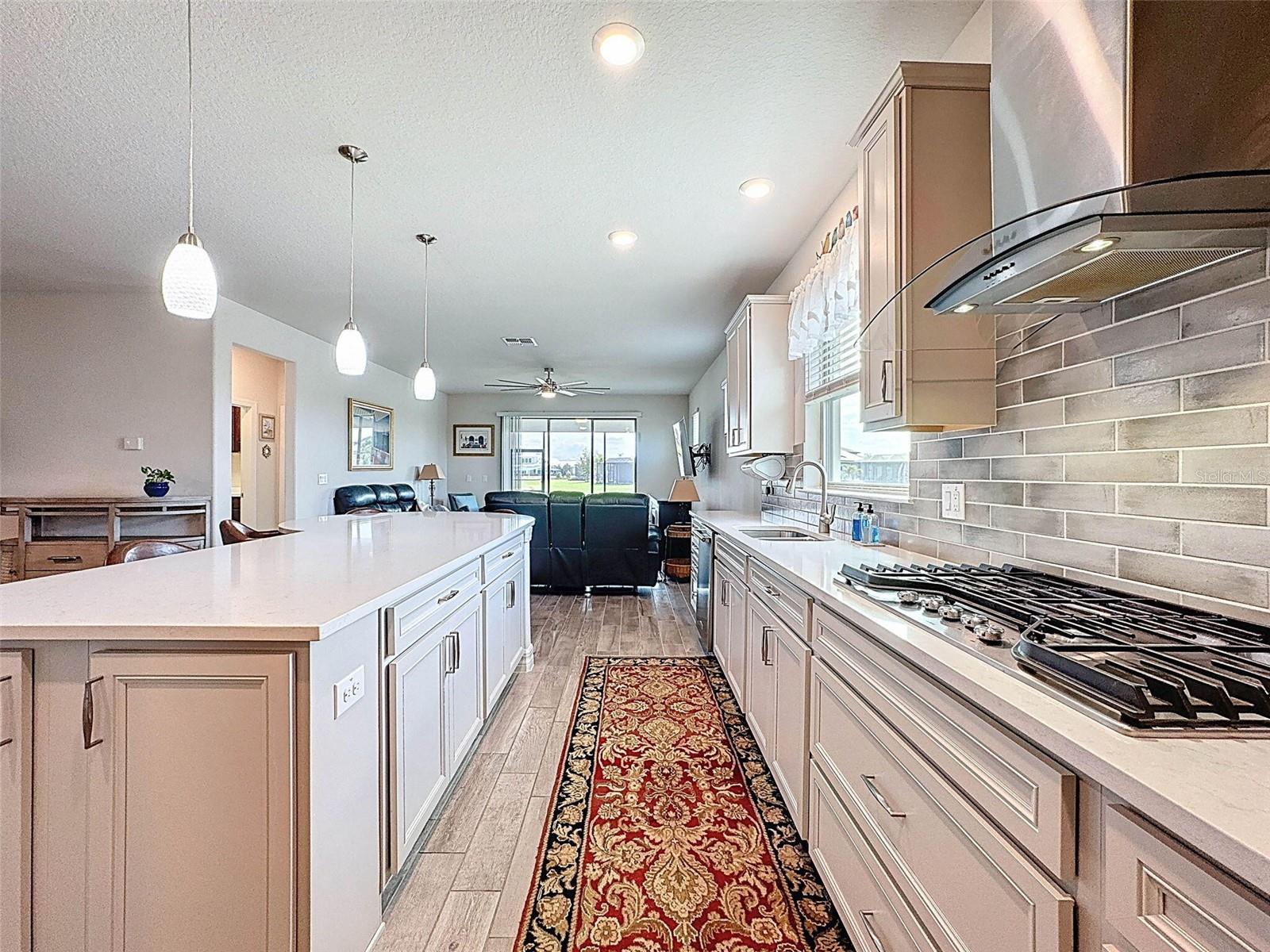 18743 COASTAL SHORE TER, LAND O LAKES, FL, 34638