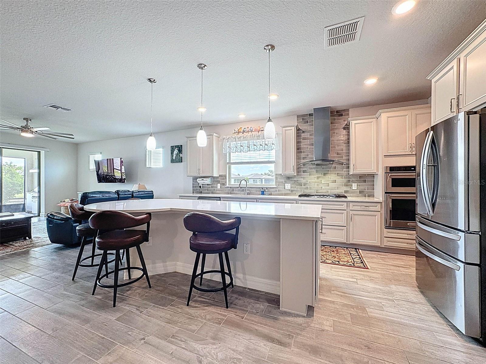 18743 COASTAL SHORE TER, LAND O LAKES, FL, 34638