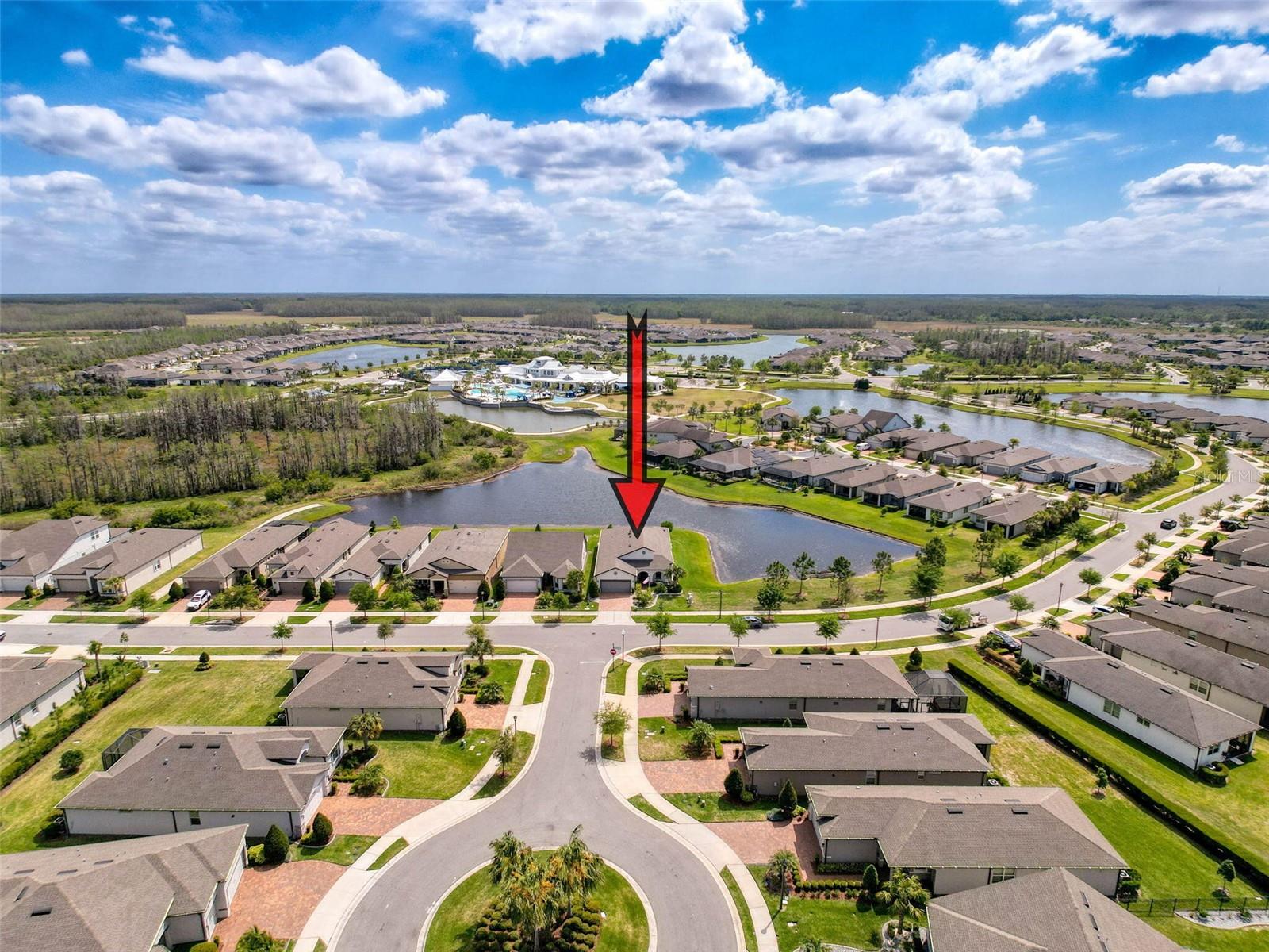 18743 COASTAL SHORE TER, LAND O LAKES, FL, 34638