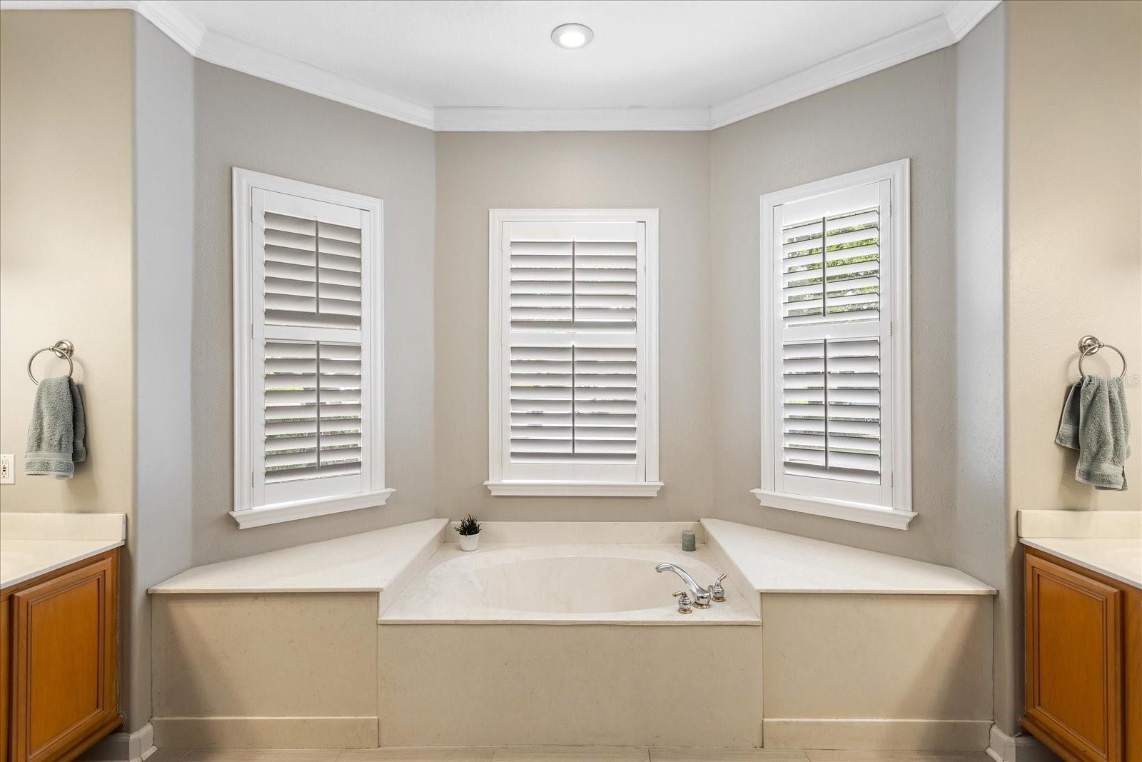 9880 MONTCLAIR CIR, APOPKA, FL, 32703