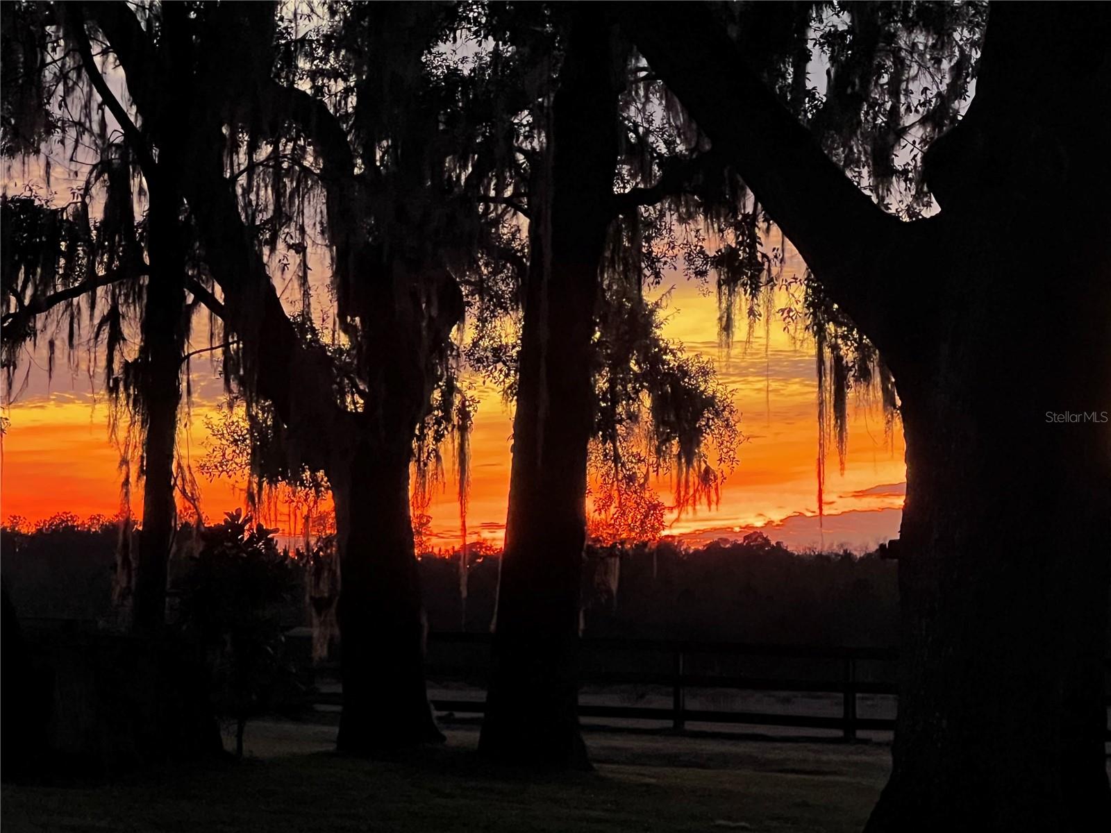 367 SW BLUE BIRD CT, FORT WHITE, FL, 32038