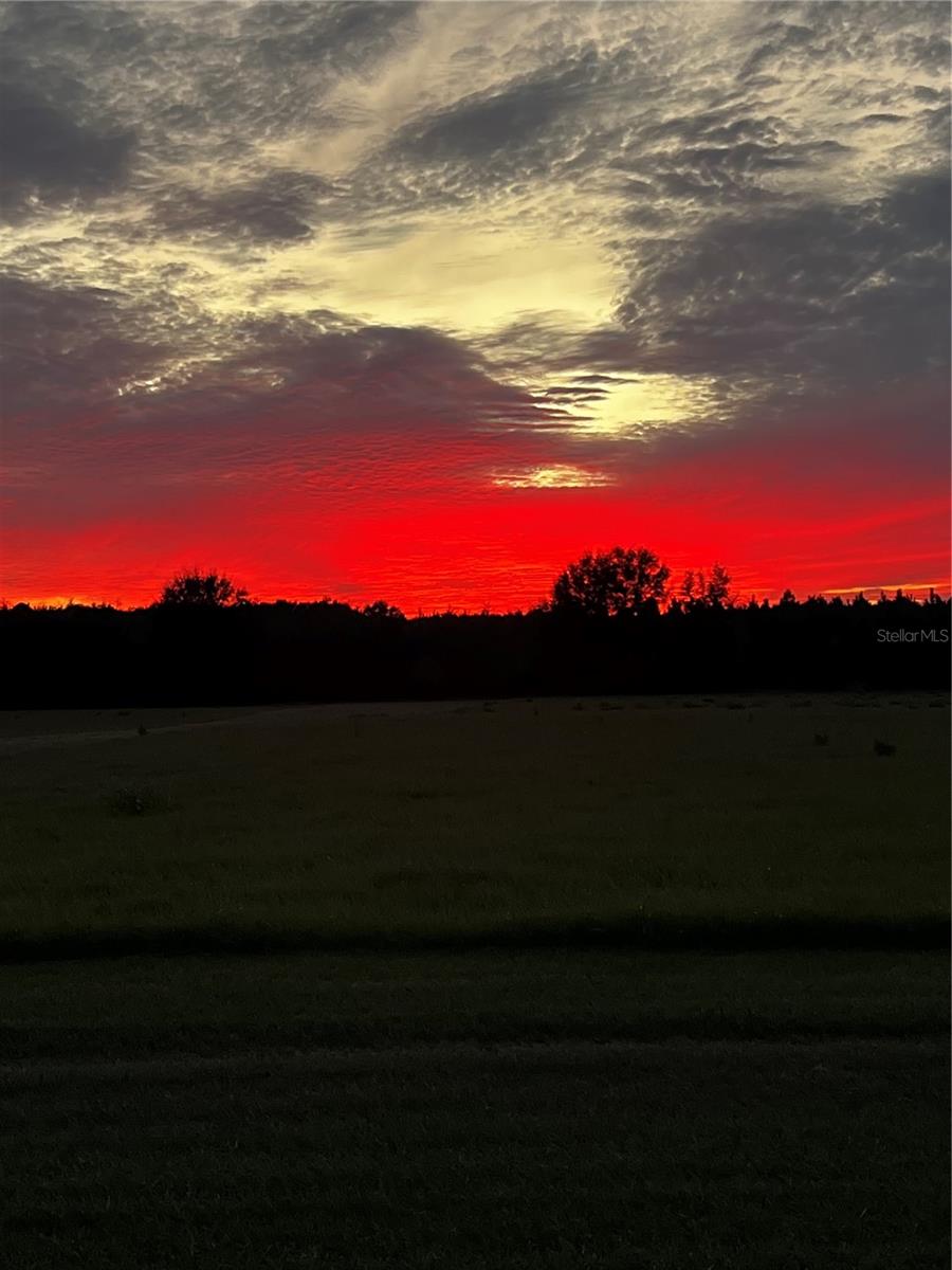 367 SW BLUE BIRD CT, FORT WHITE, FL, 32038