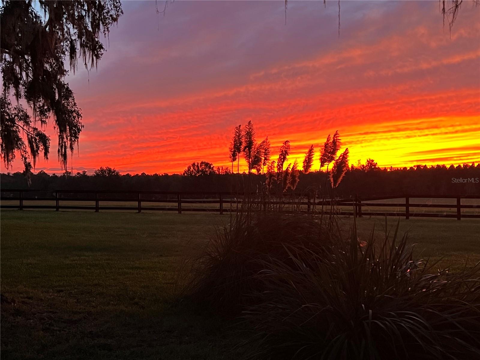 367 SW BLUE BIRD CT, FORT WHITE, FL, 32038