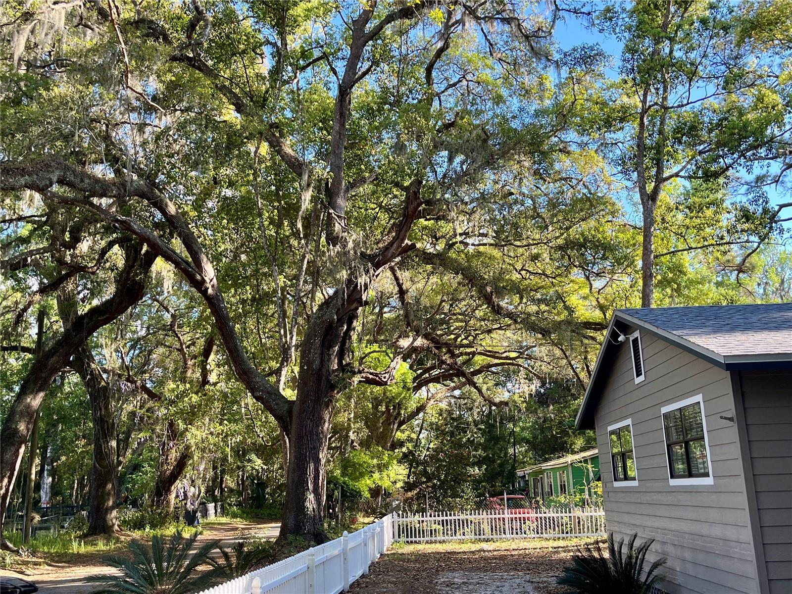 108 SW 8TH ST, MICANOPY, FL, 32667