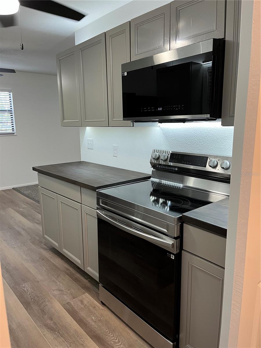 108 SW 8TH ST, MICANOPY, FL, 32667