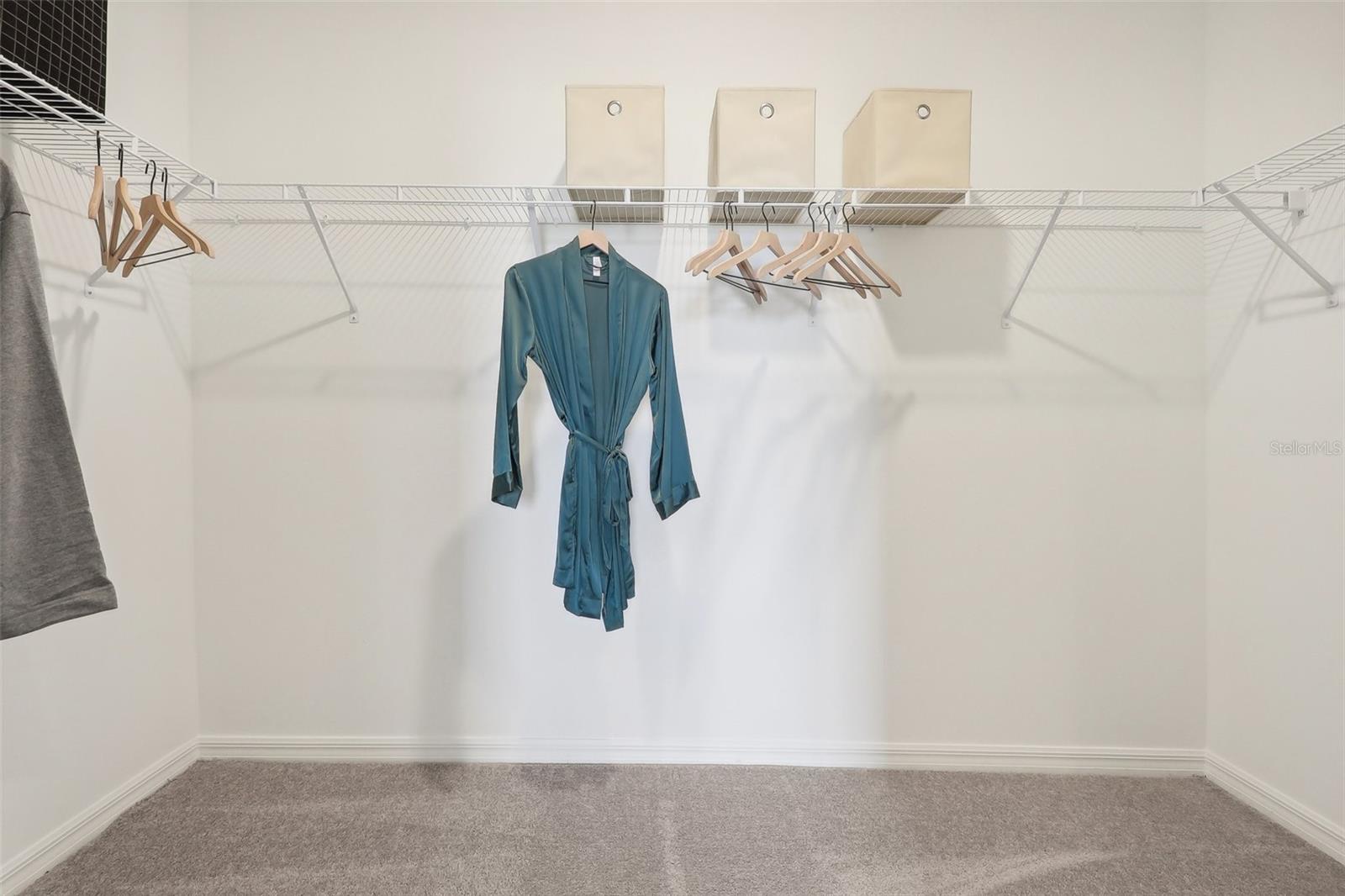 10132 HUNTINGNET WAY, LEESBURG, FL, 34748