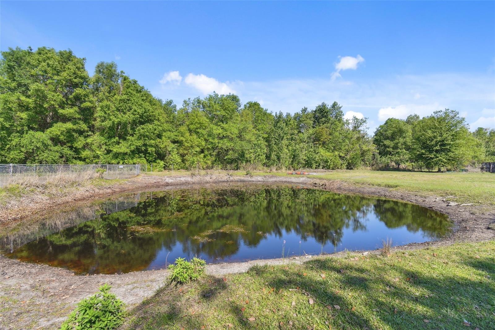 12205 OLD DADE CITY RD, KATHLEEN, FL, 33849