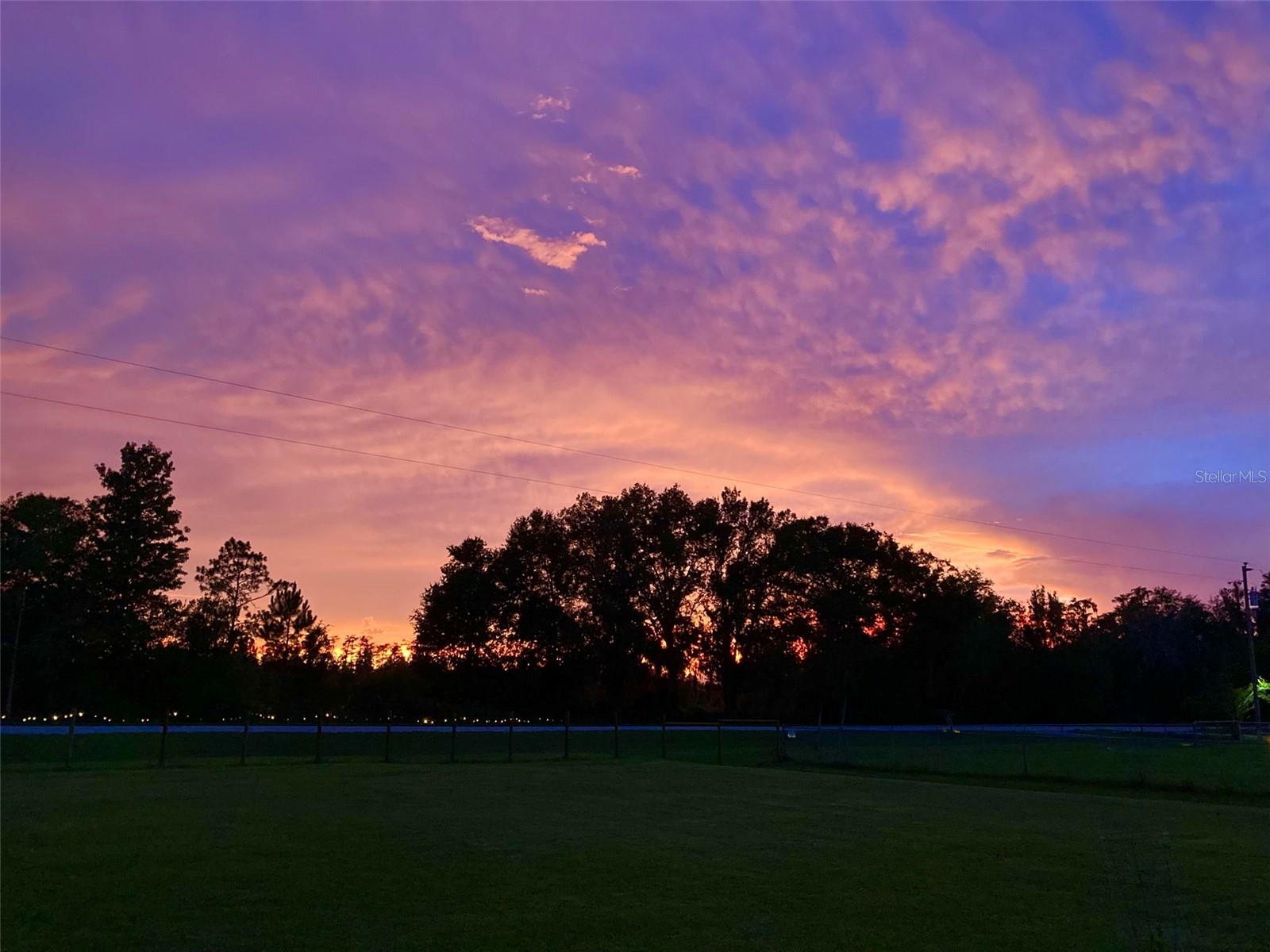 12205 OLD DADE CITY RD, KATHLEEN, FL, 33849