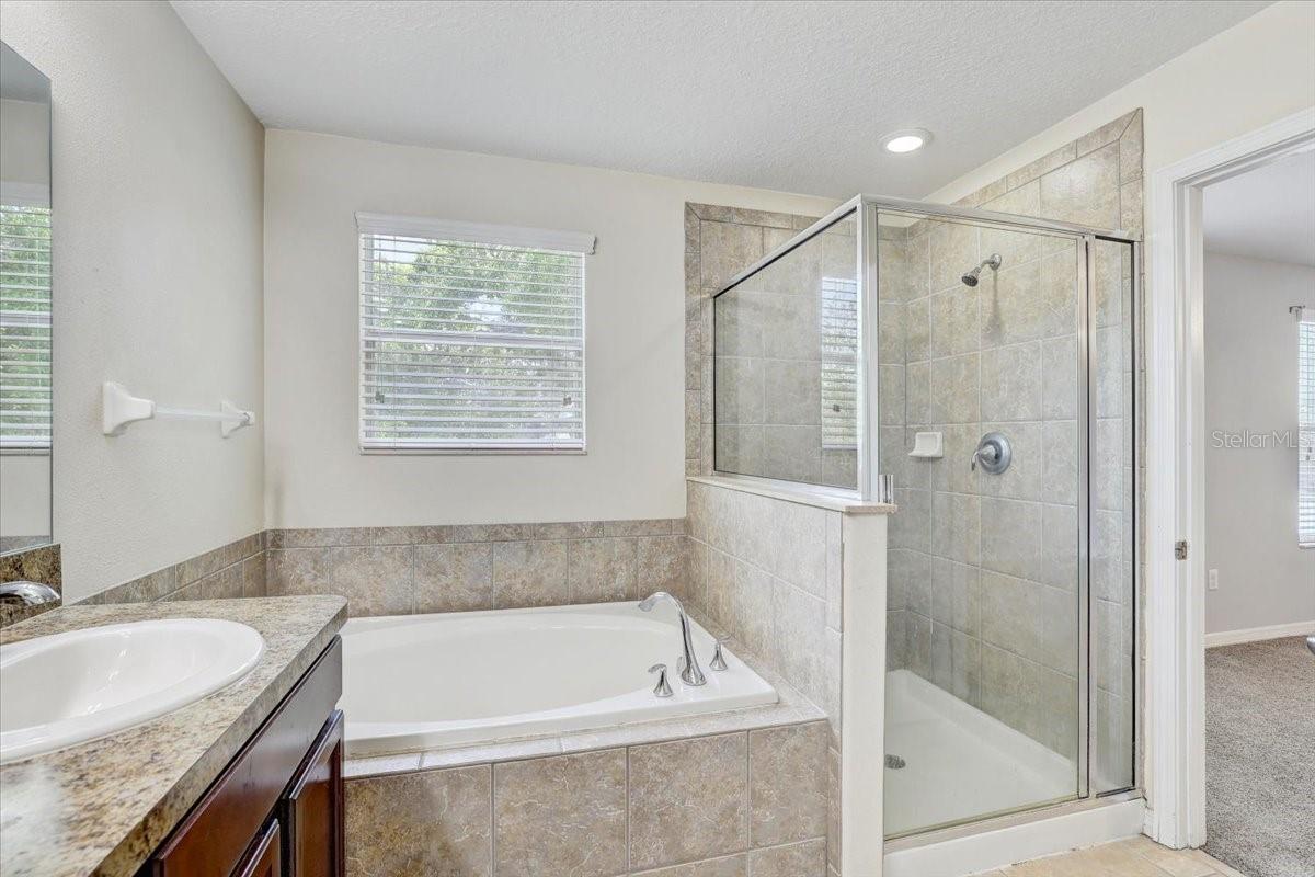 10524 WHITE PEACOCK PL, RIVERVIEW, FL, 33578