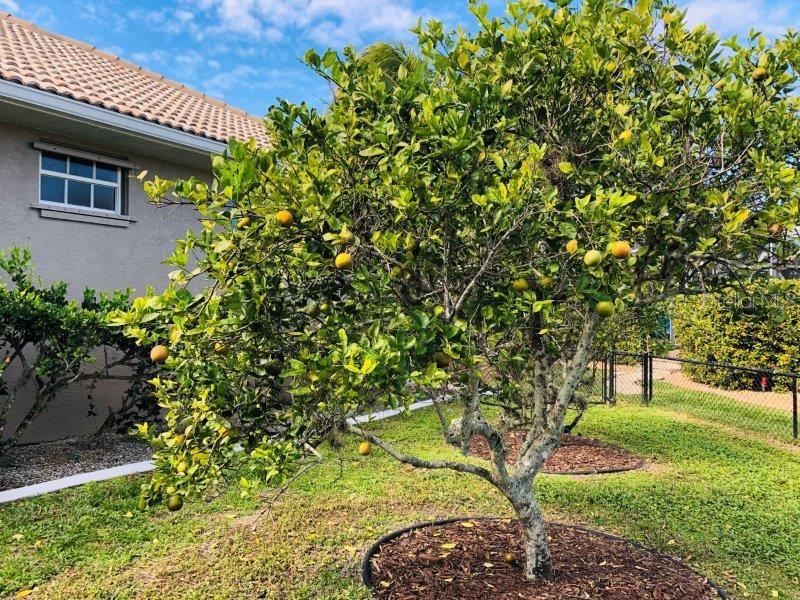 2100 CASSINO CT, PUNTA GORDA, FL, 33950