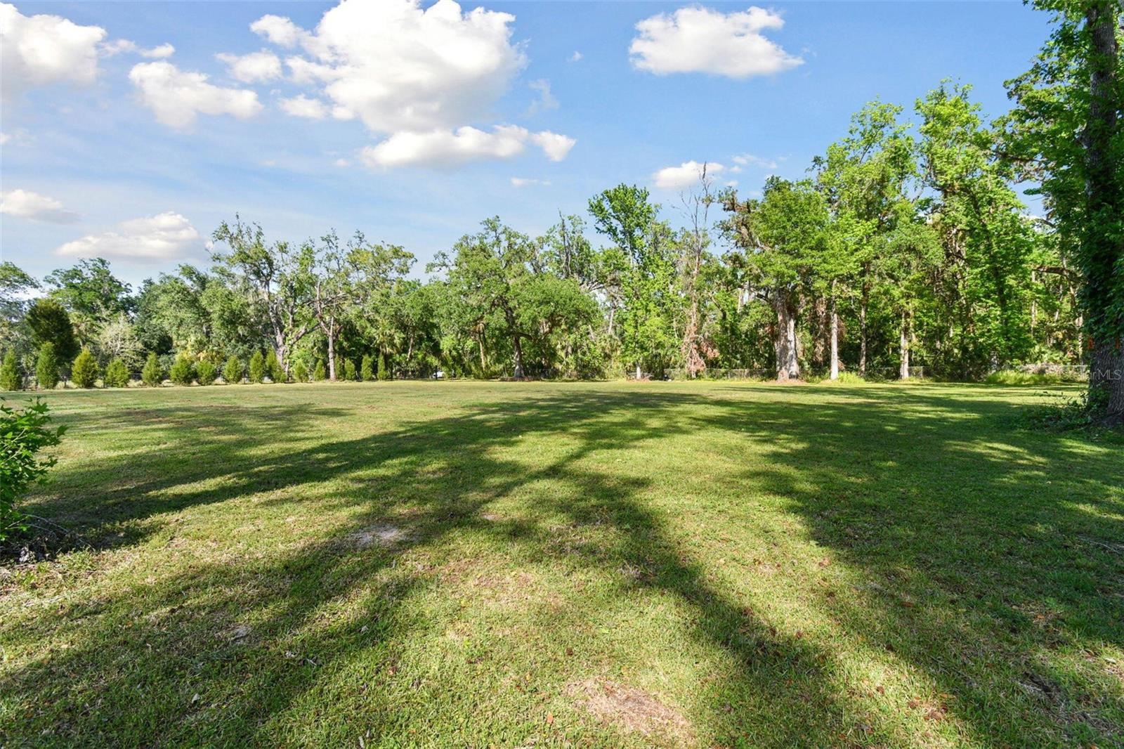 10821 CEDAR COVE DR, THONOTOSASSA, FL, 33592