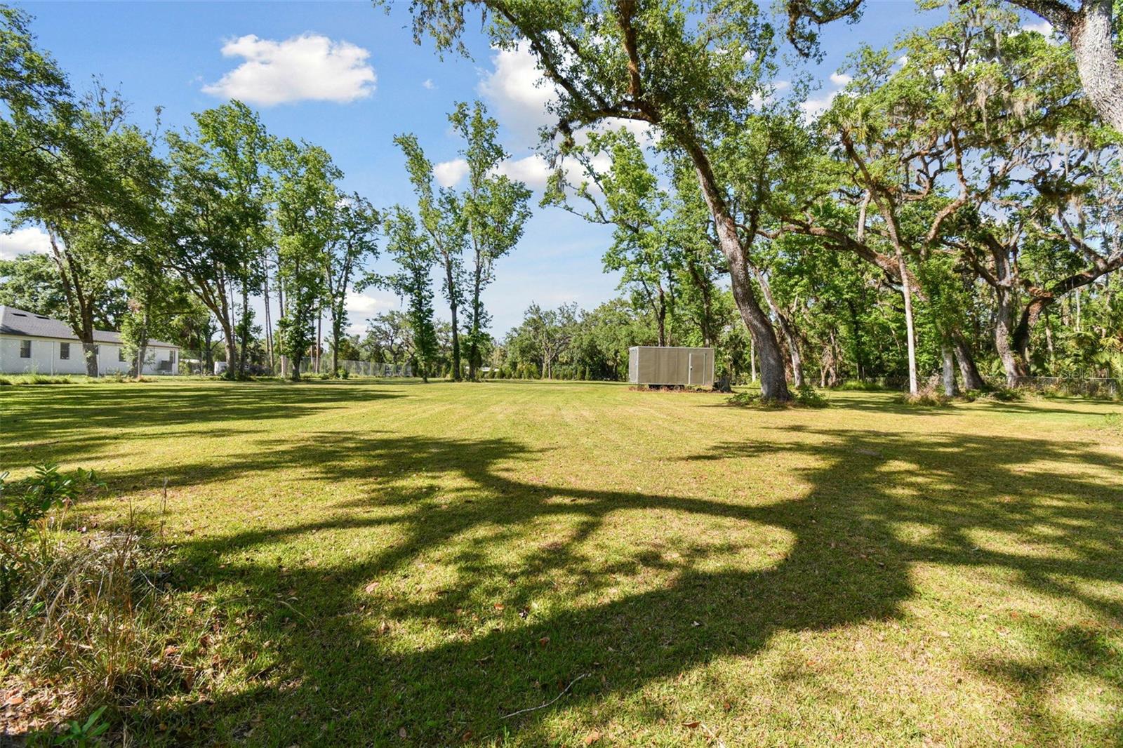 10821 CEDAR COVE DR, THONOTOSASSA, FL, 33592