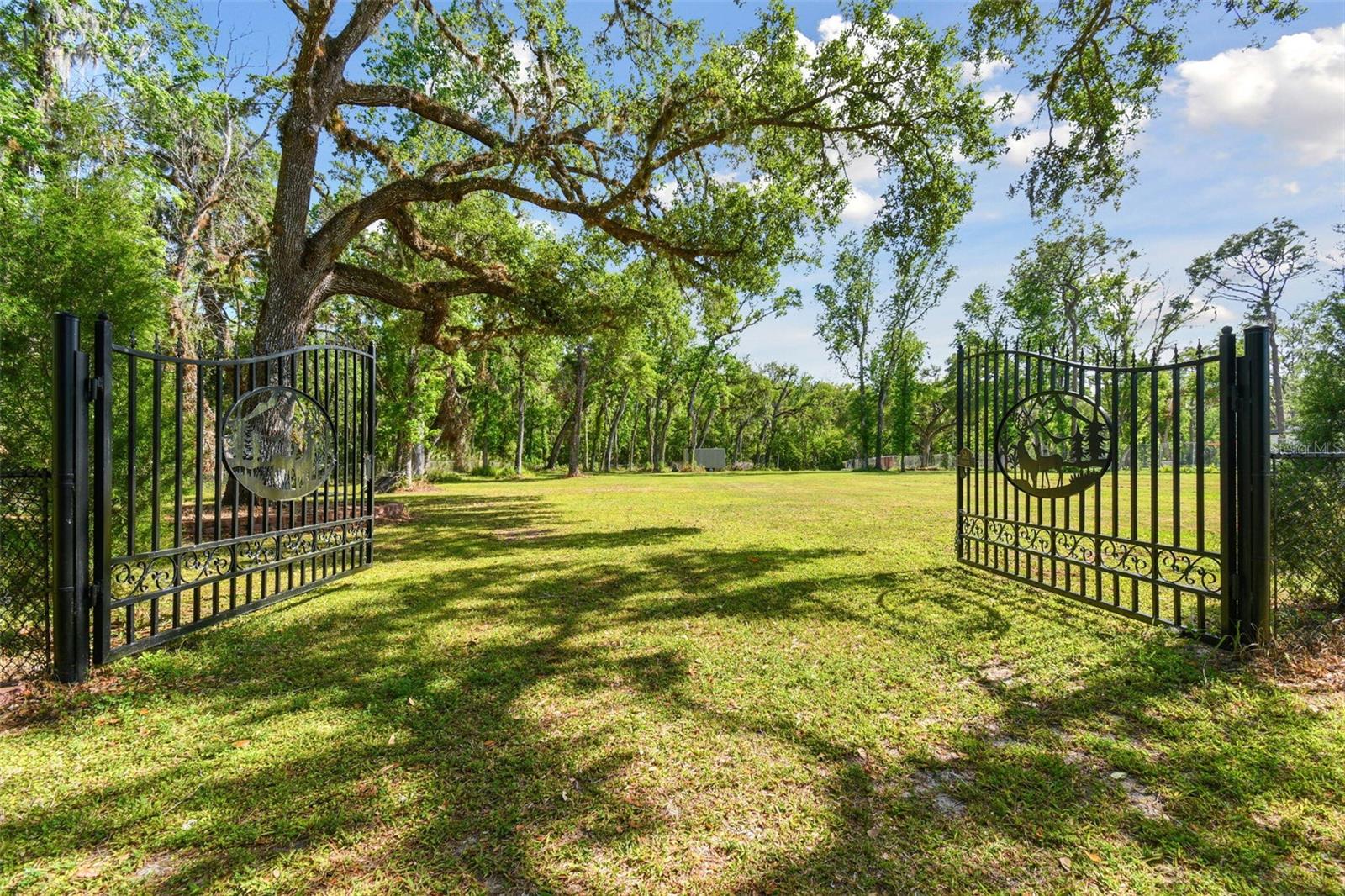 10821 CEDAR COVE DR, THONOTOSASSA, FL, 33592