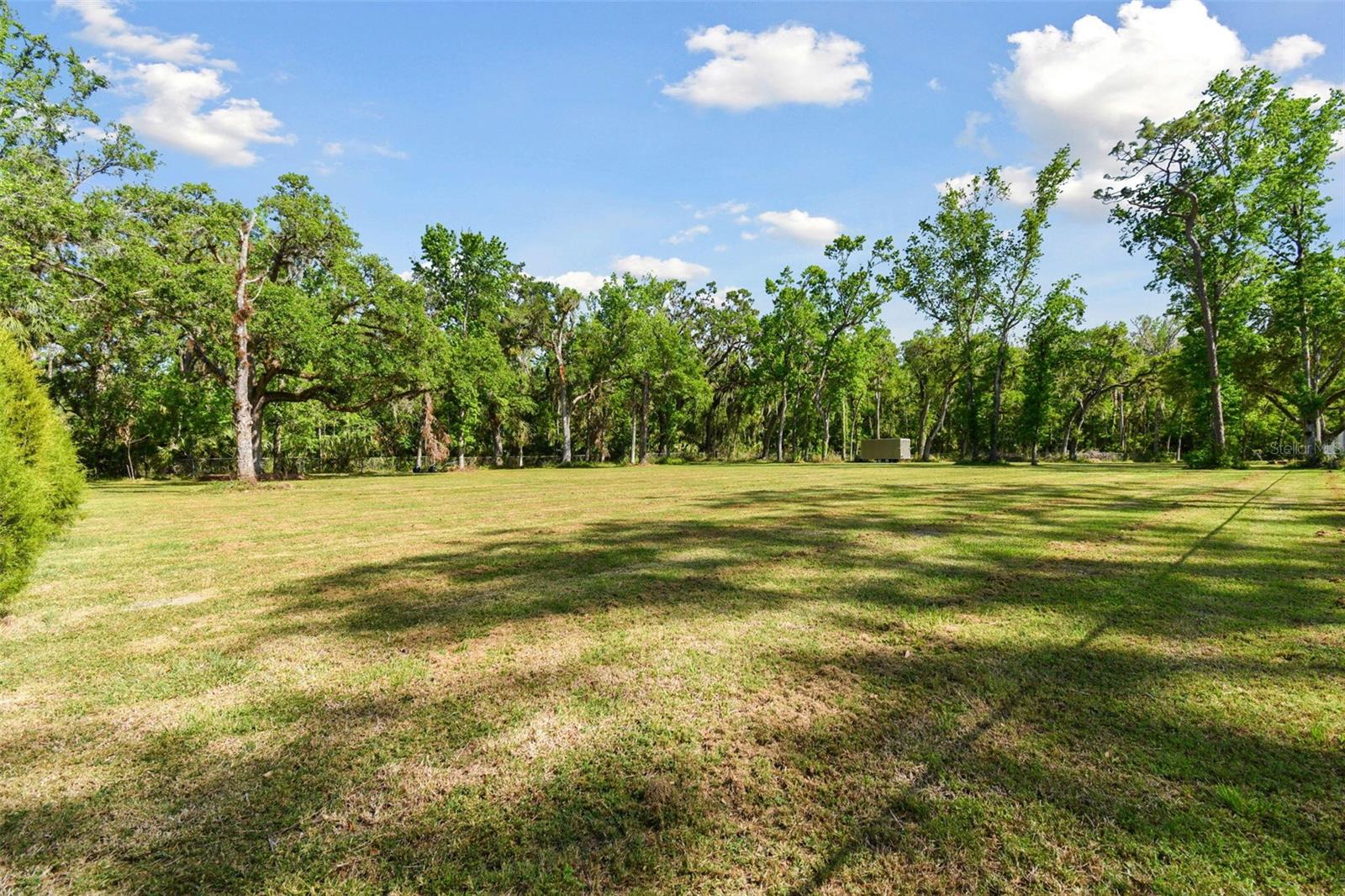 10821 CEDAR COVE DR, THONOTOSASSA, FL, 33592