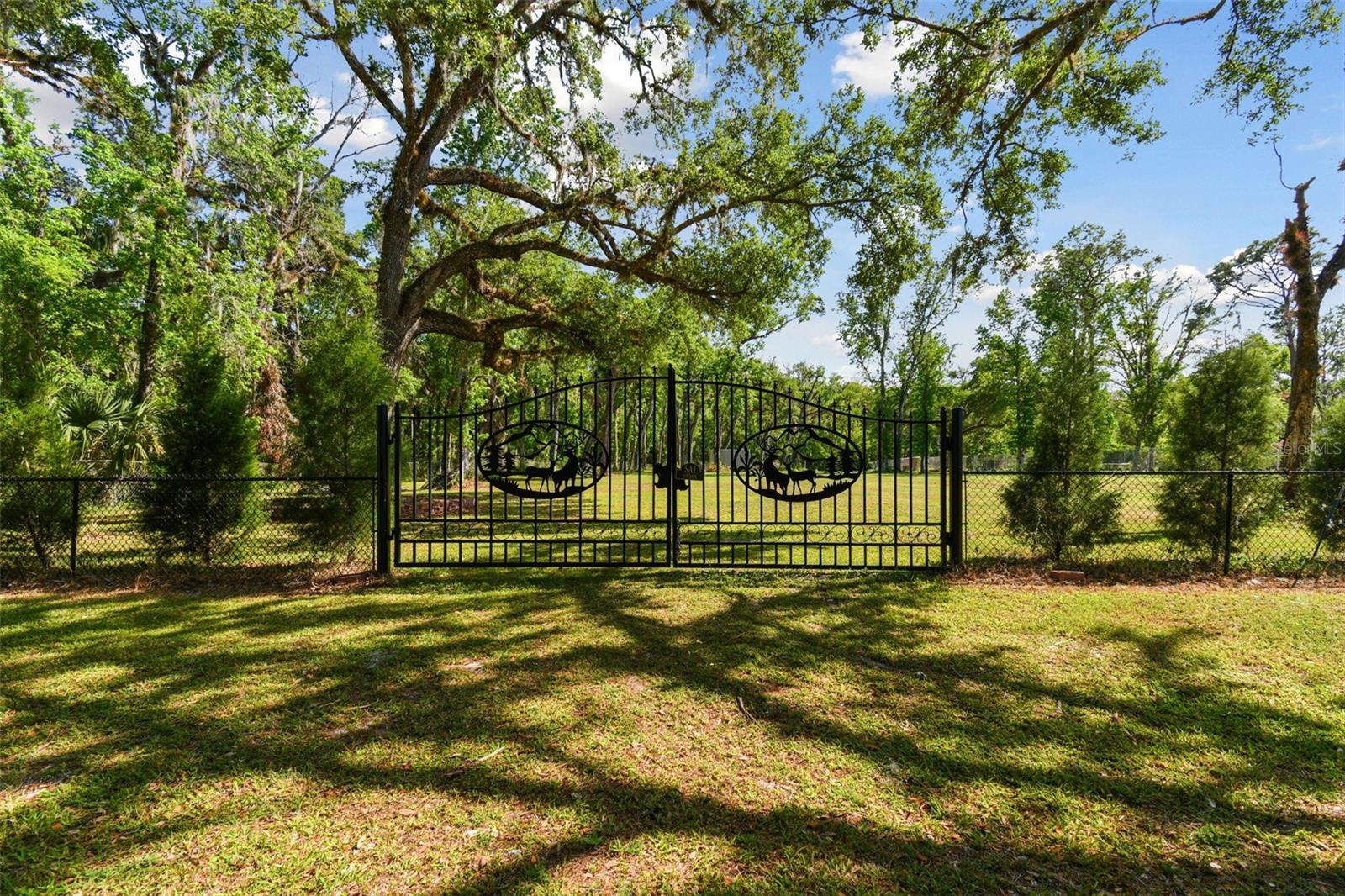10821 CEDAR COVE DR, THONOTOSASSA, FL, 33592