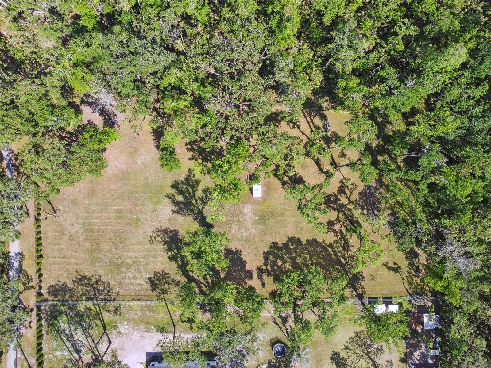 10821 CEDAR COVE DR, THONOTOSASSA, FL, 33592