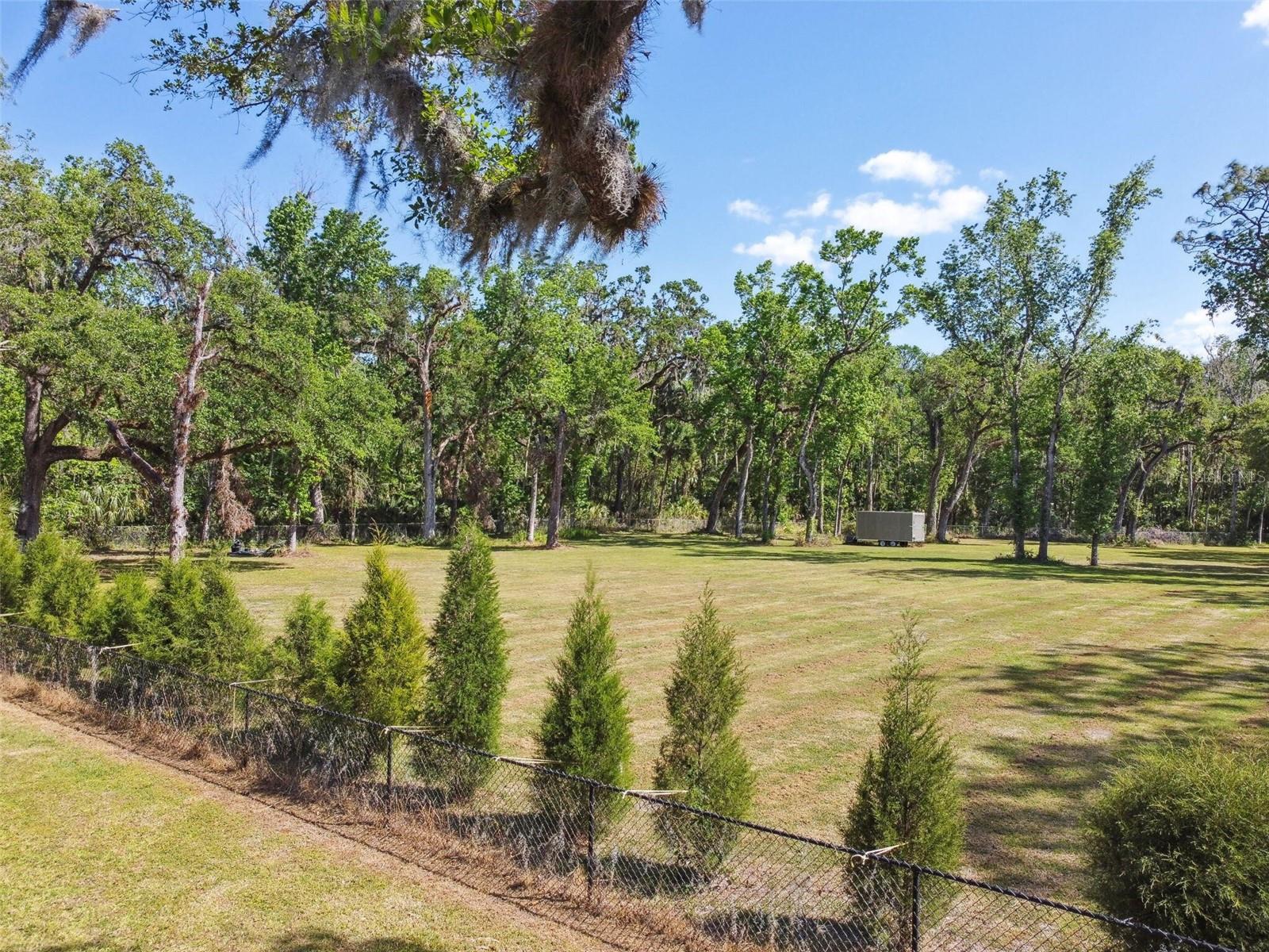 10821 CEDAR COVE DR, THONOTOSASSA, FL, 33592