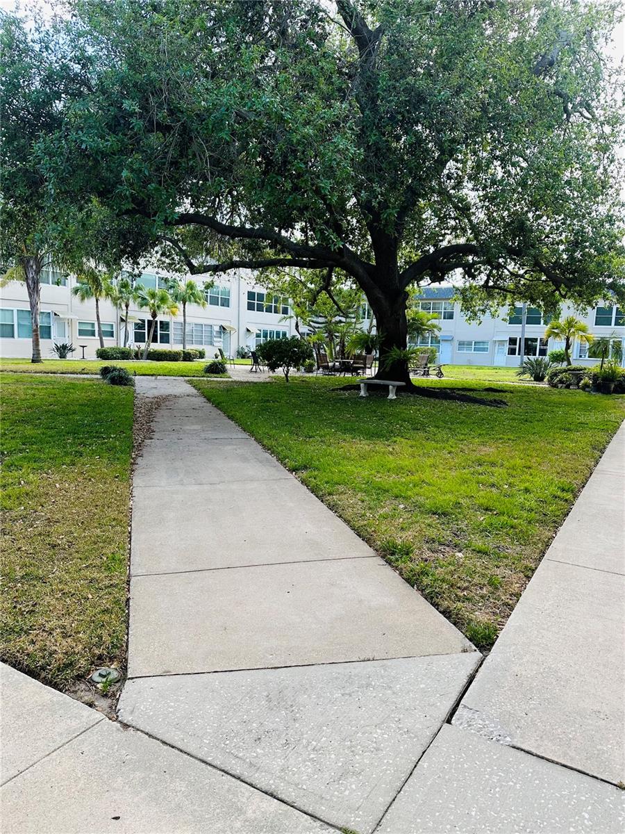 1220 57TH ST N #204C, ST PETERSBURG, FL, 33710