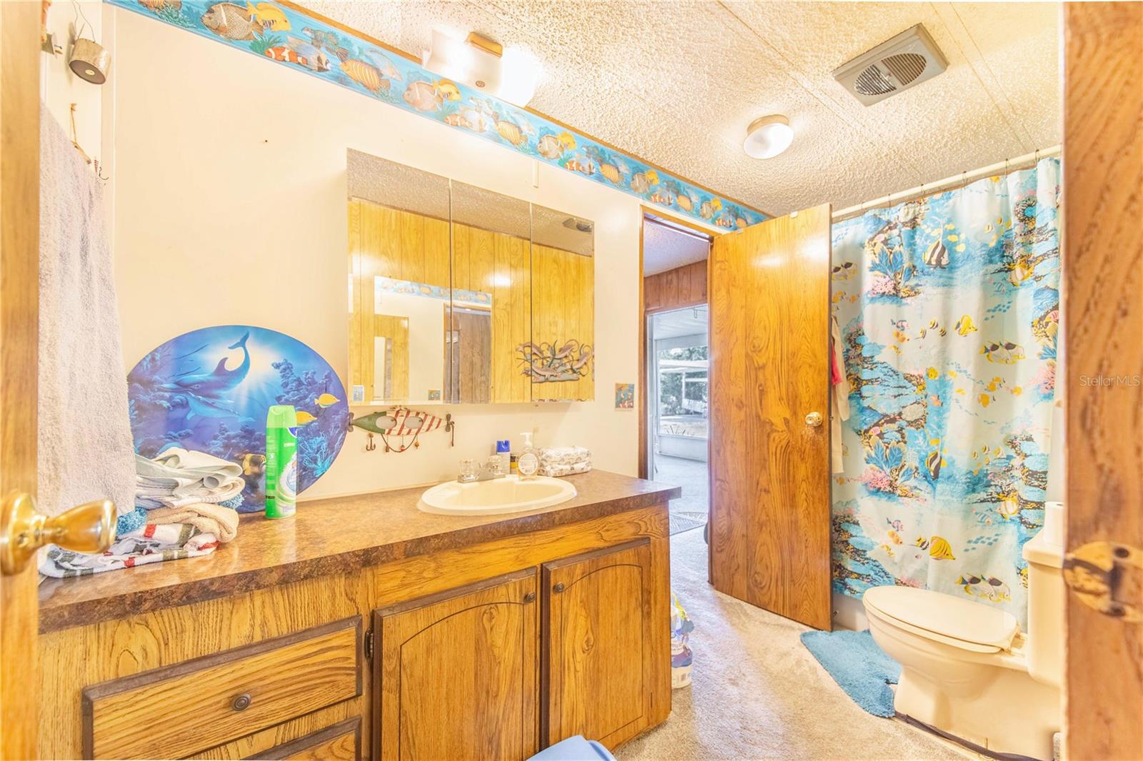 7008 COUNTY LINE RD, MULBERRY, FL, 33860