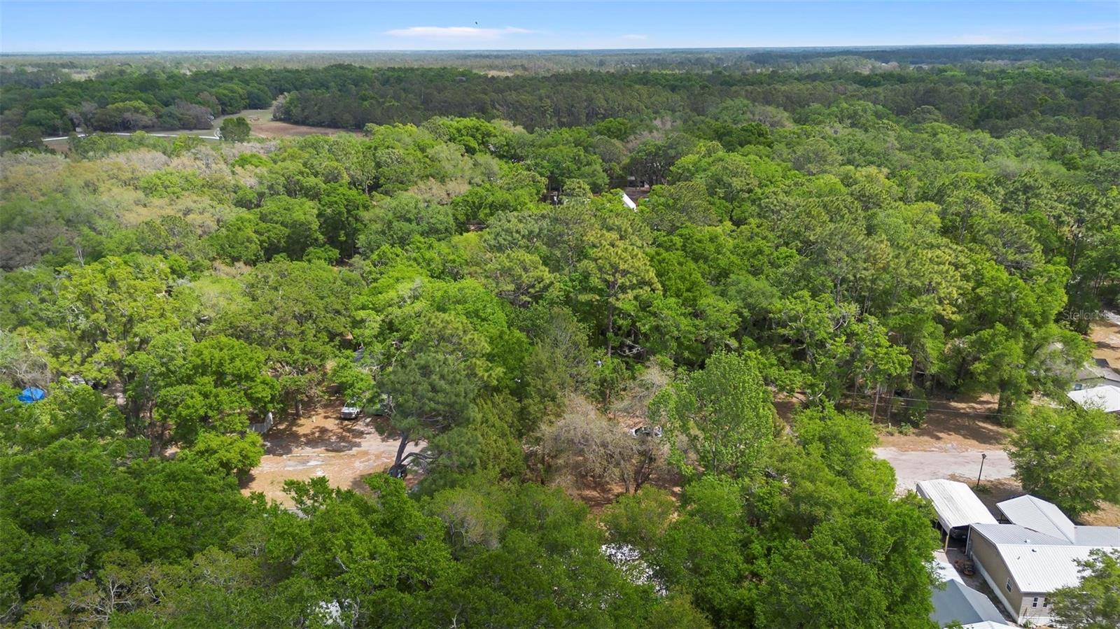 43125 E 2ND ST, PAISLEY, FL, 32767