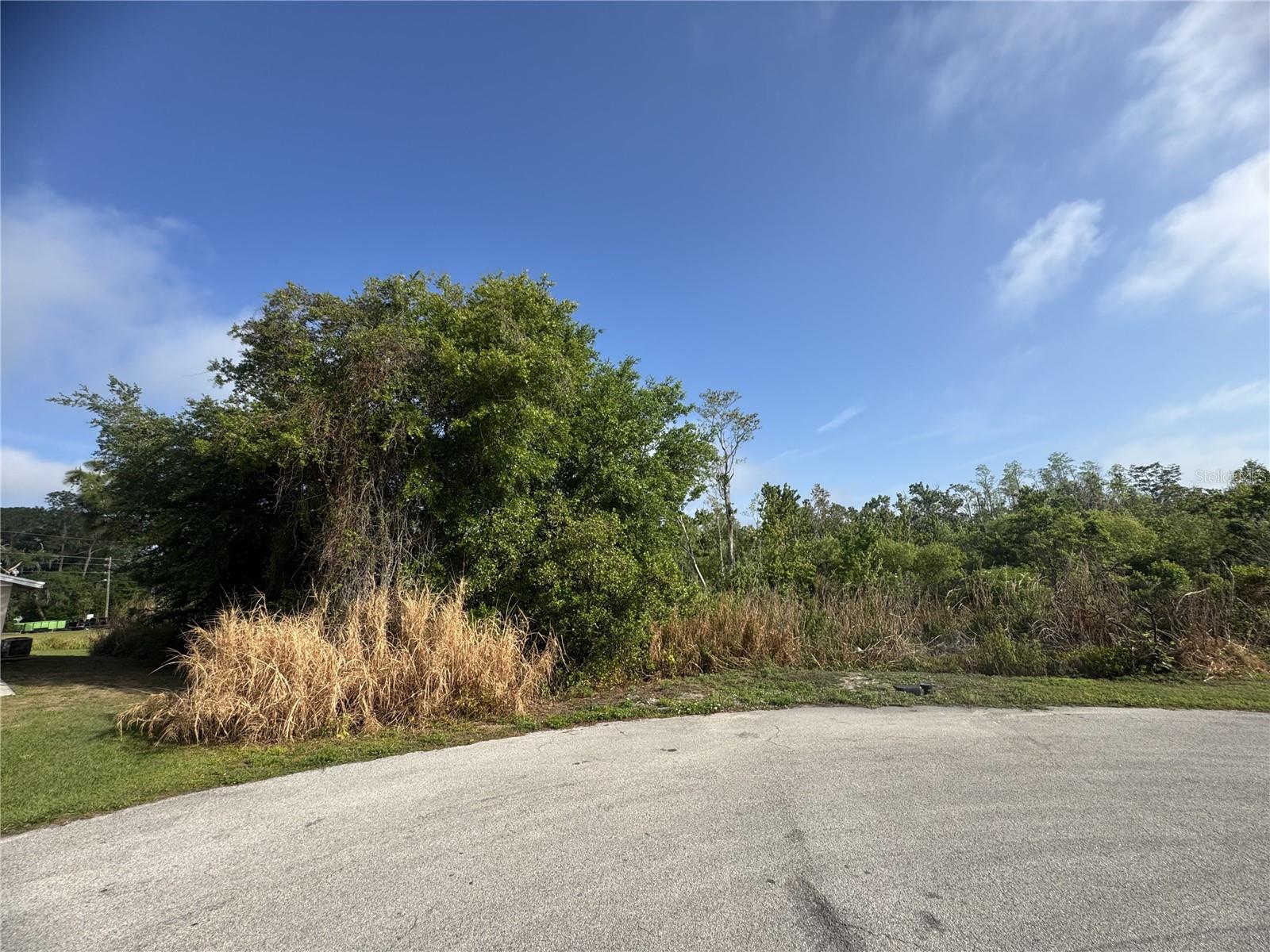 7540 WILLOW WISP DR W, LAKELAND, FL, 33810