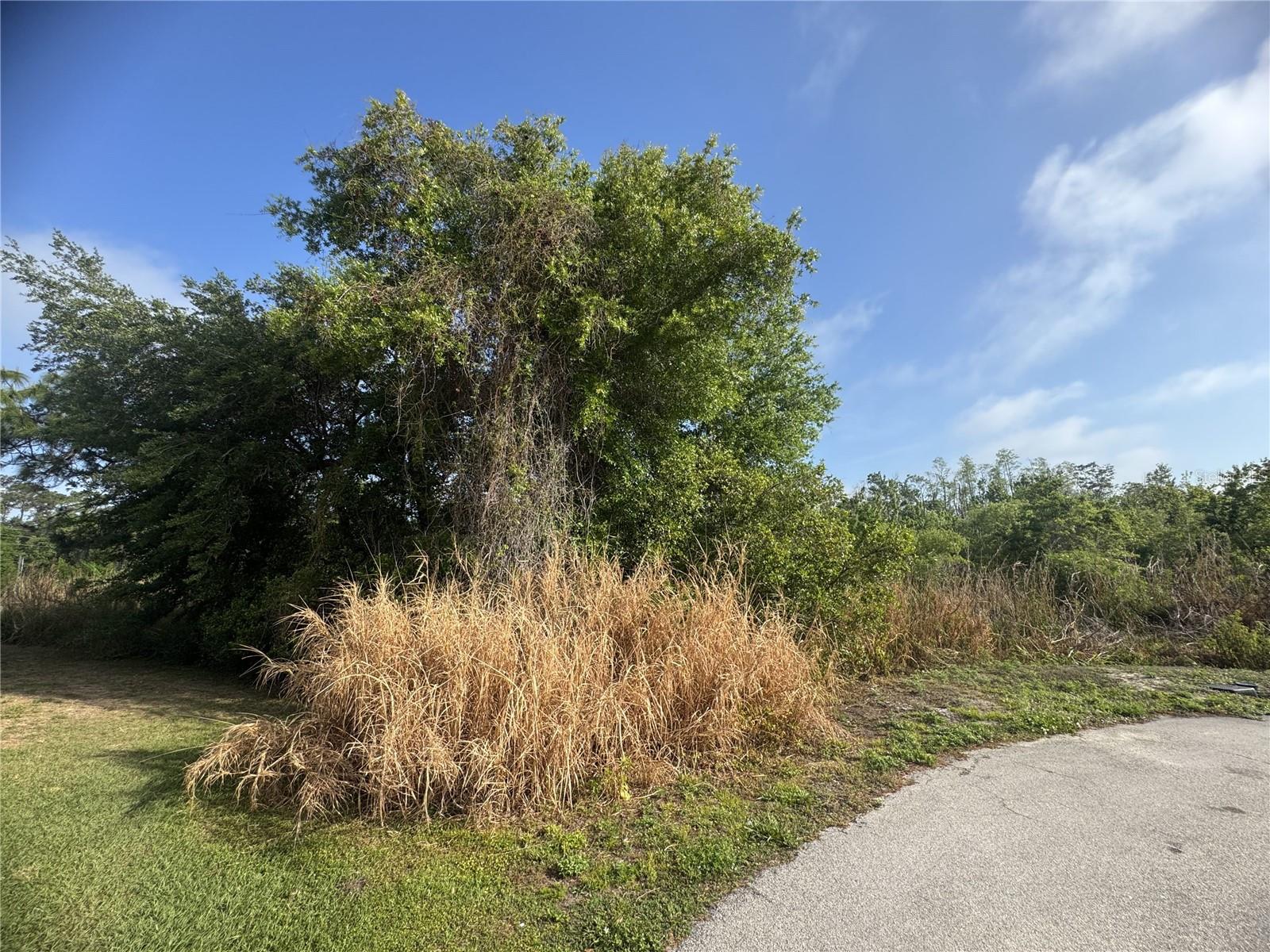 7540 WILLOW WISP DR W, LAKELAND, FL, 33810