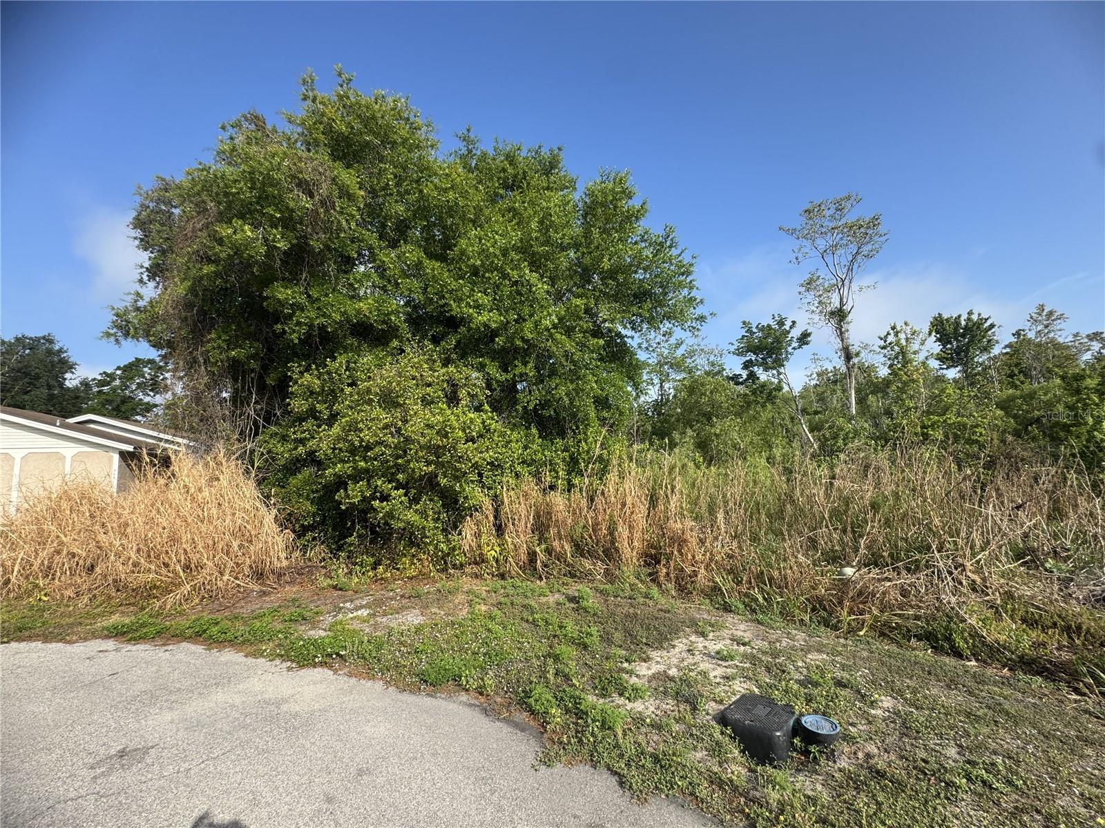 7540 WILLOW WISP DR W, LAKELAND, FL, 33810