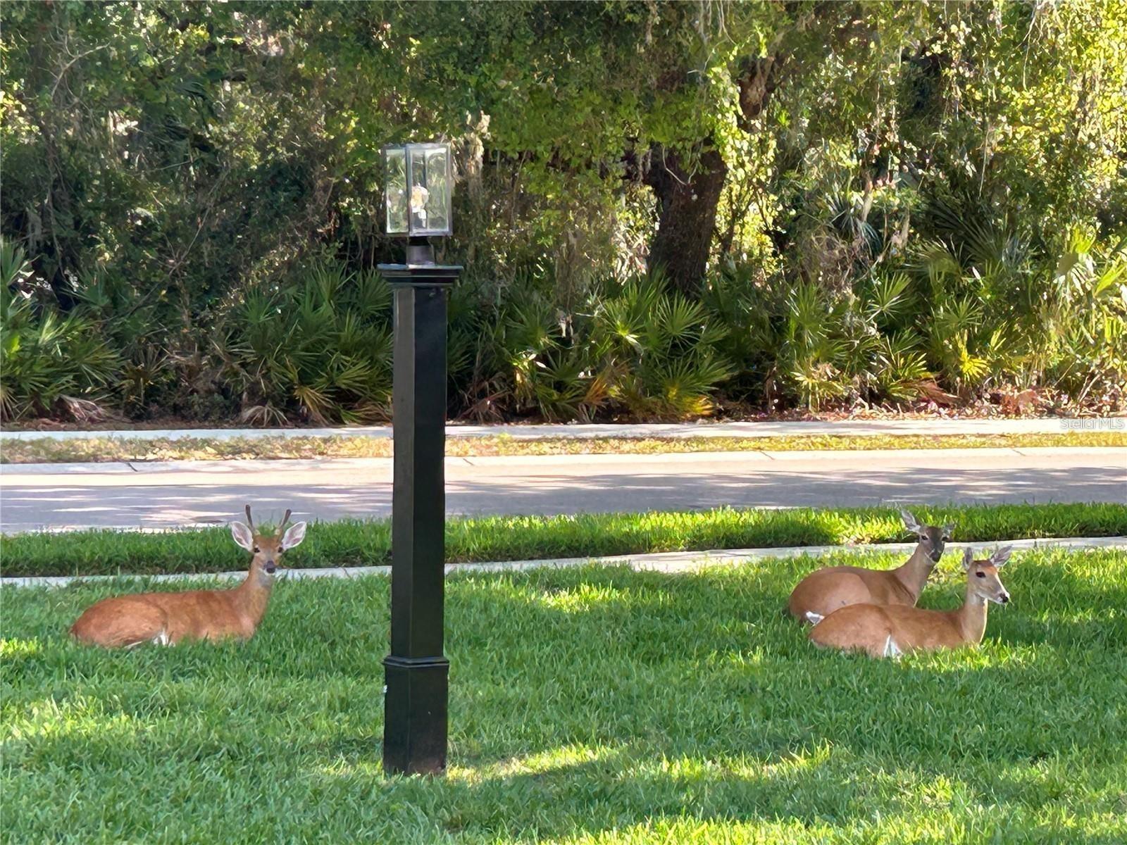 8301 EAGLE LAKE DR, SARASOTA, FL, 34241