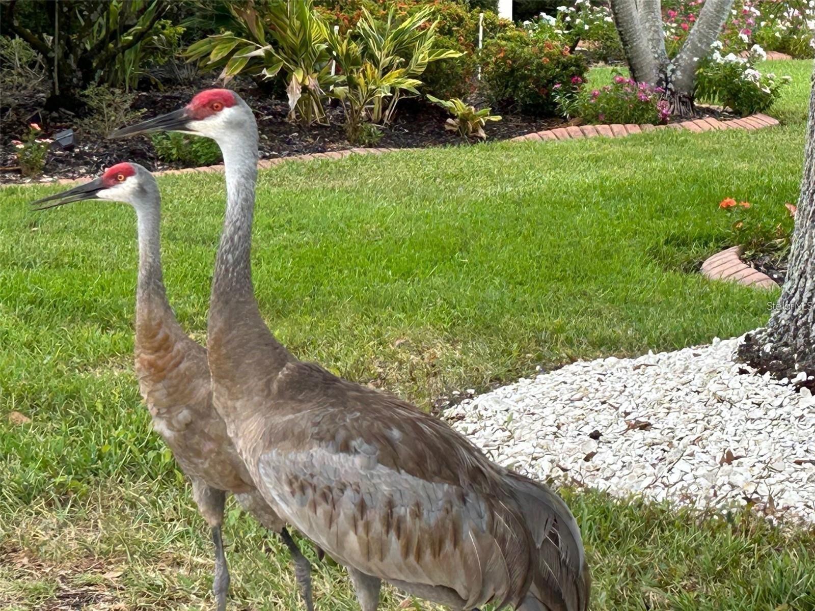 8301 EAGLE LAKE DR, SARASOTA, FL, 34241