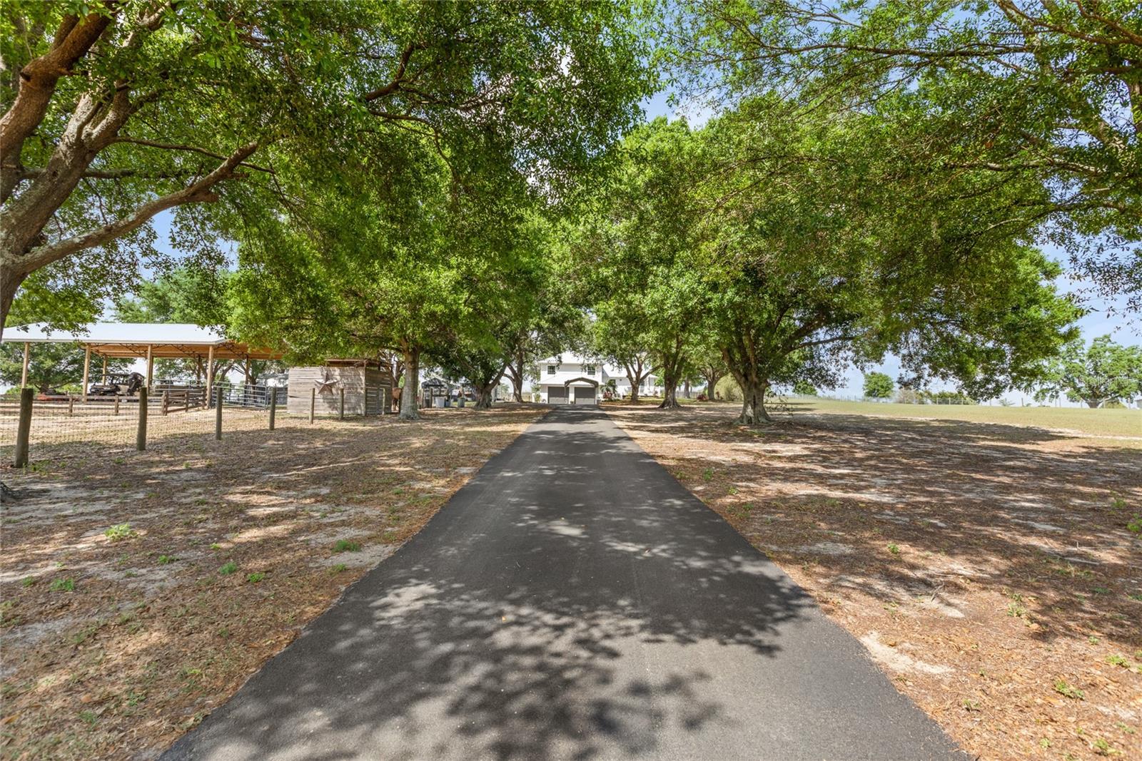 7823 BARON AVE, HOWEY IN THE HILLS, FL, 34737