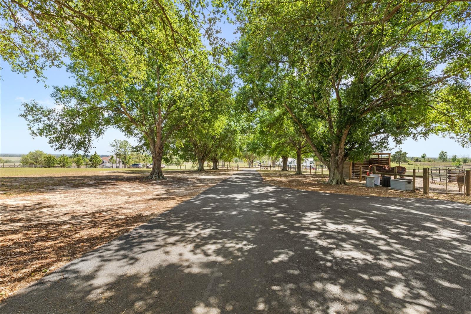 7823 BARON AVE, HOWEY IN THE HILLS, FL, 34737