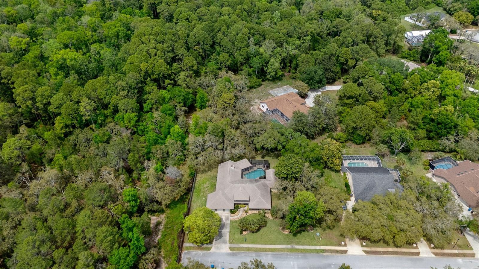 6475 LAUREL OAK DR, SPRING HILL, FL, 34607